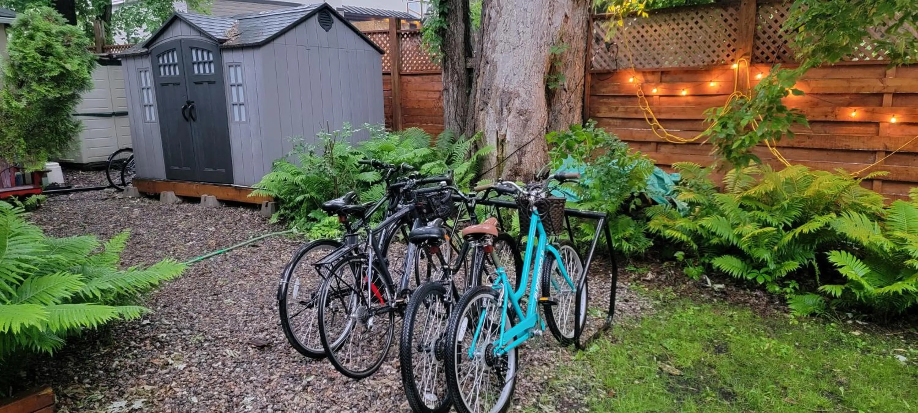 Activities in Kokomo INN Bed and Breakfast Ottawa-Gatineau's Only Tropical Riverfront B&B on the National Capital Cycling Pathway Route Verte #1 - for Adults Only - Chambre d'hôtes tropical aux berges des Outaouais BnB #17542O