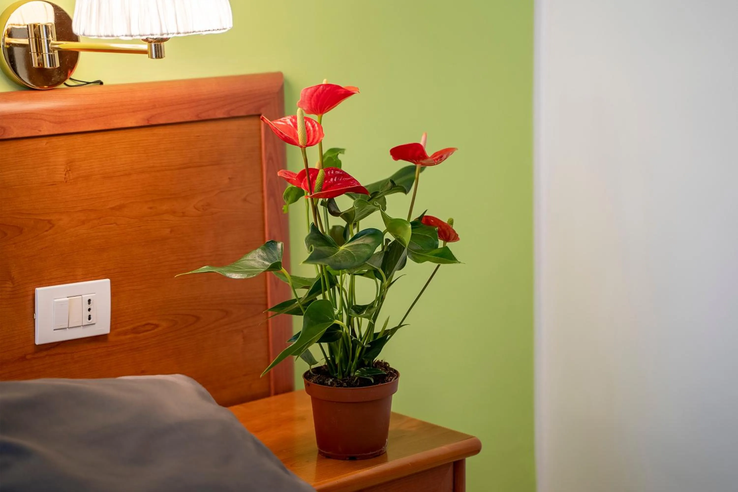Bedroom in il passetto