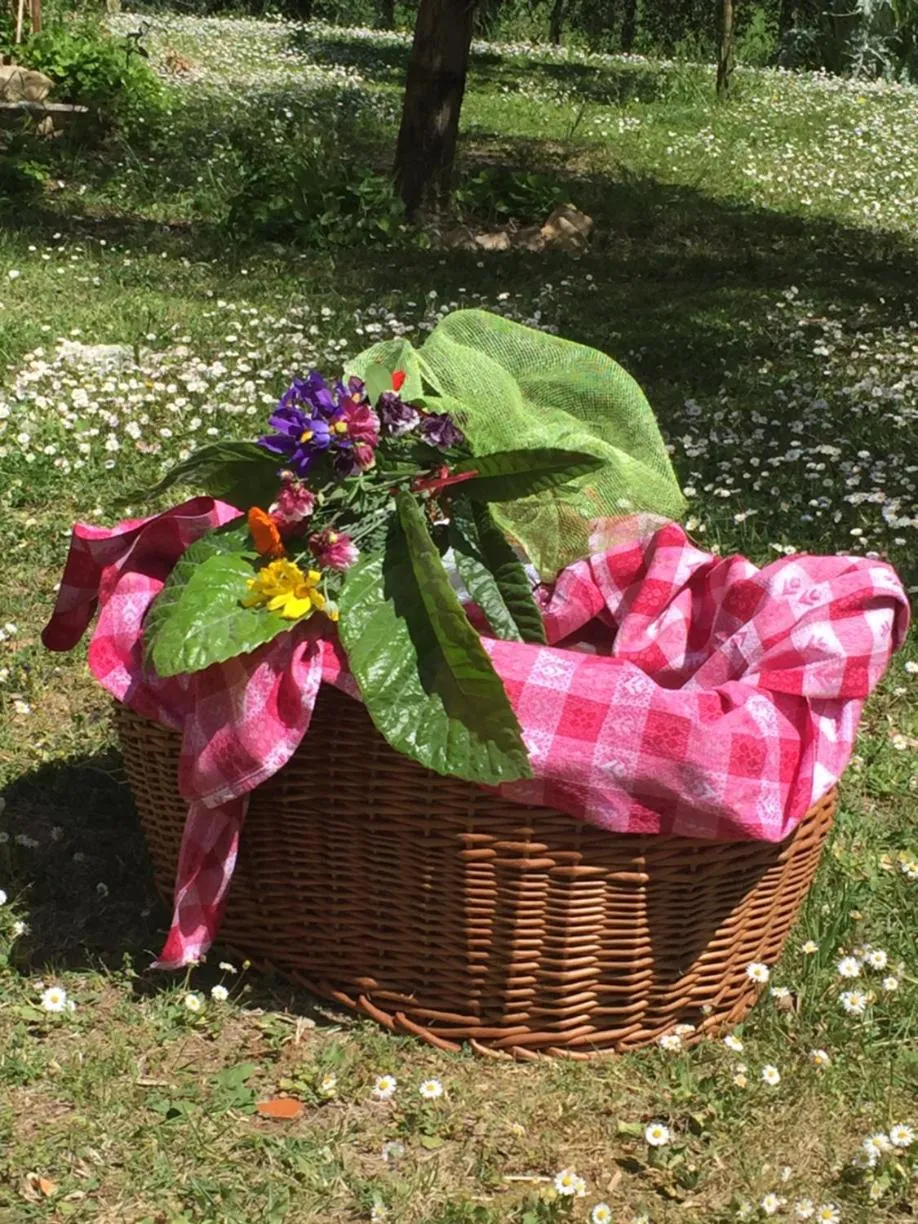 Garden in Hotel Ristorante Piccolo Chianti