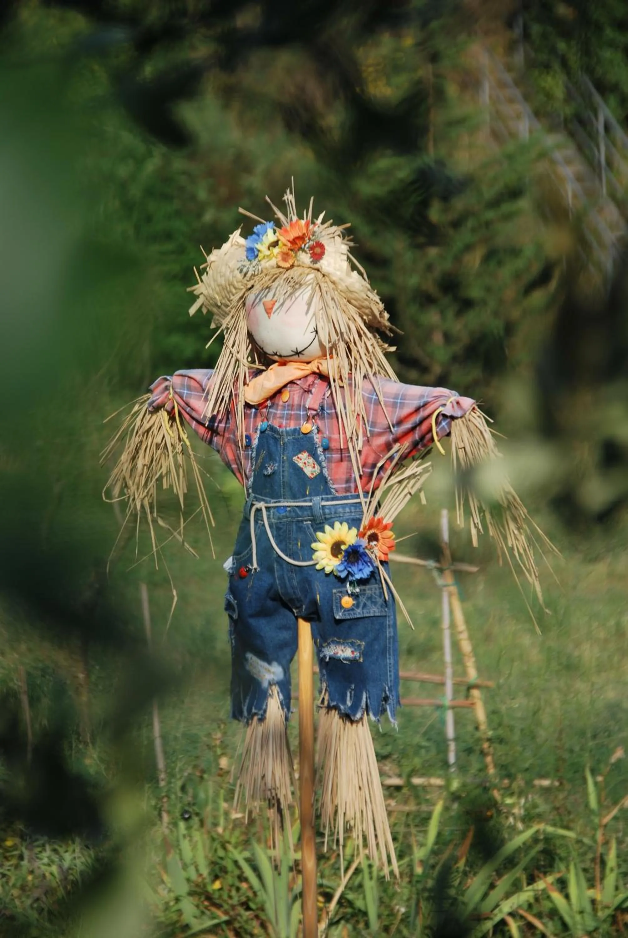 Activities in Hotel Ristorante Piccolo Chianti