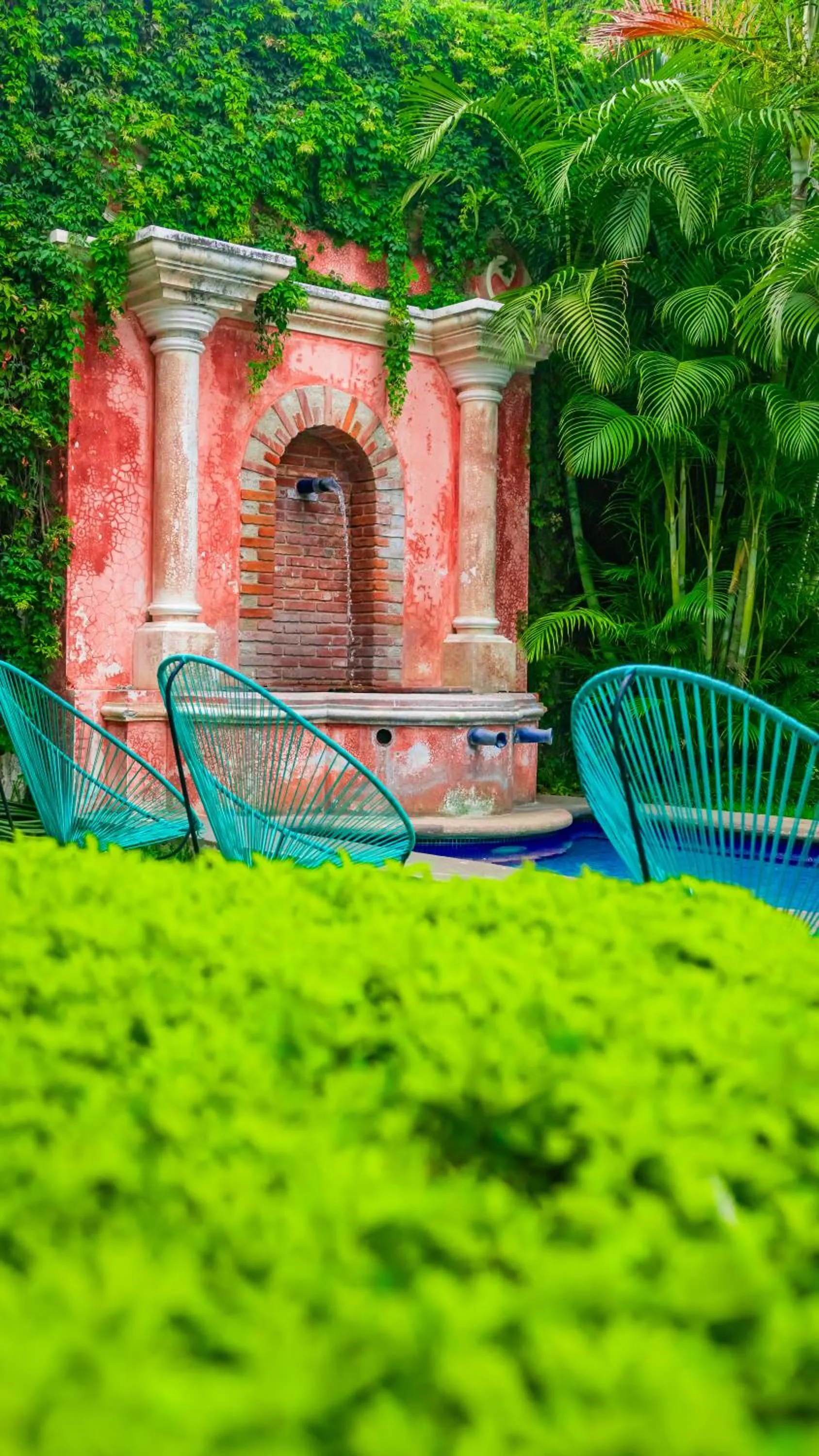 Garden in Casa Mia Hotel