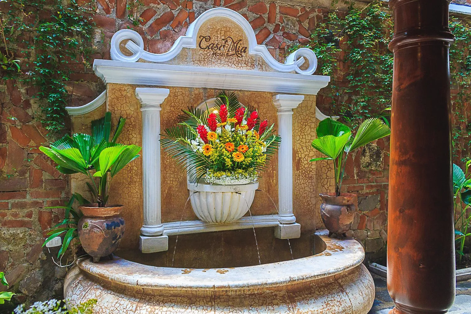 Garden in Casa Mia Hotel