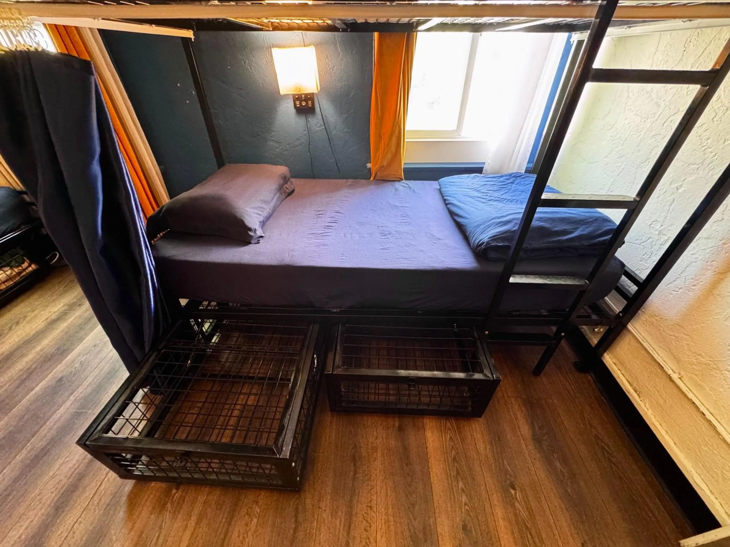 bunk bed, Bed in ITH San Diego Mission Beach Backpacker Hostel