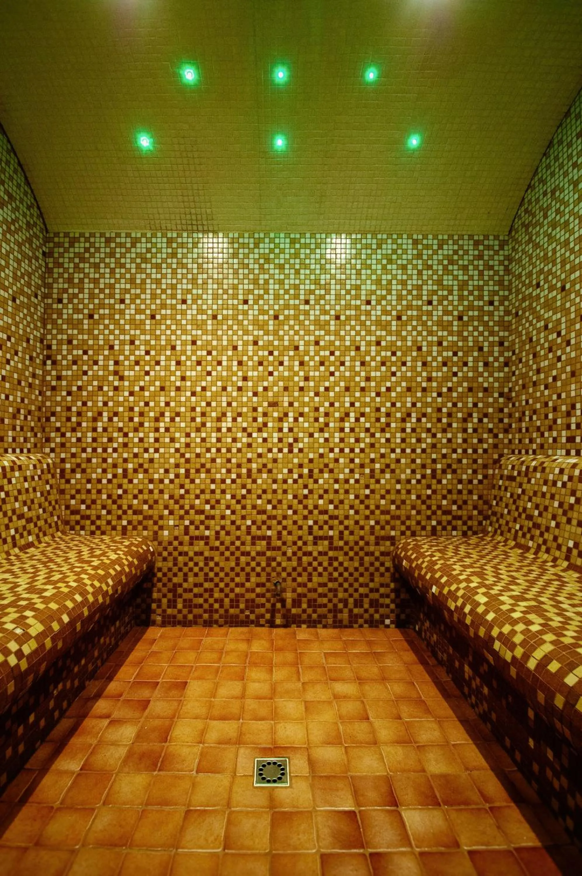 Sauna in Hotel Chopin Business&SPA