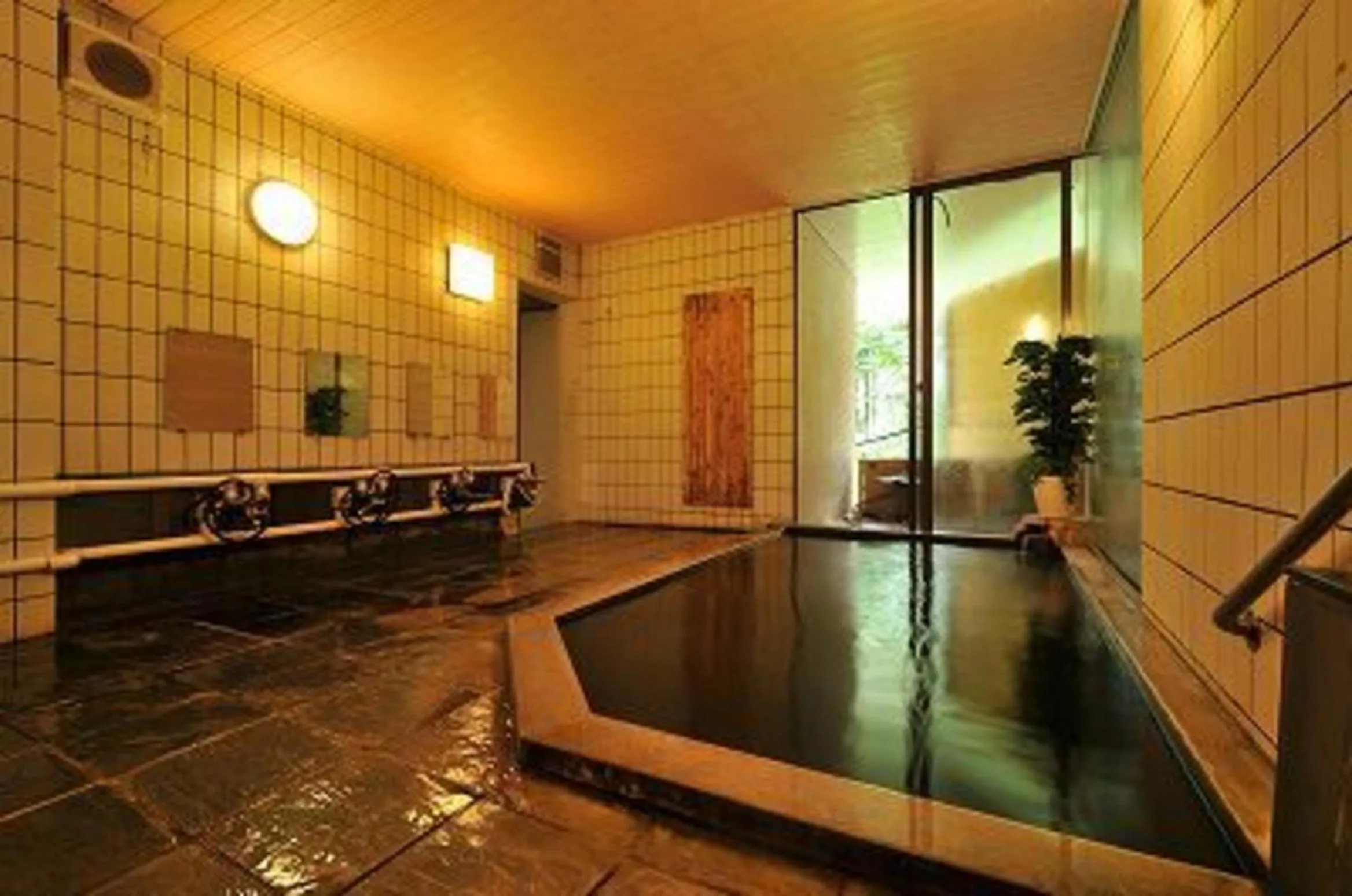 Hot Spring Bath in Tsubame Highland Lodge燕ハイランドロッジ