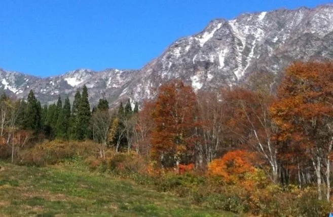 Natural landscape in Tsubame Highland Lodge燕ハイランドロッジ