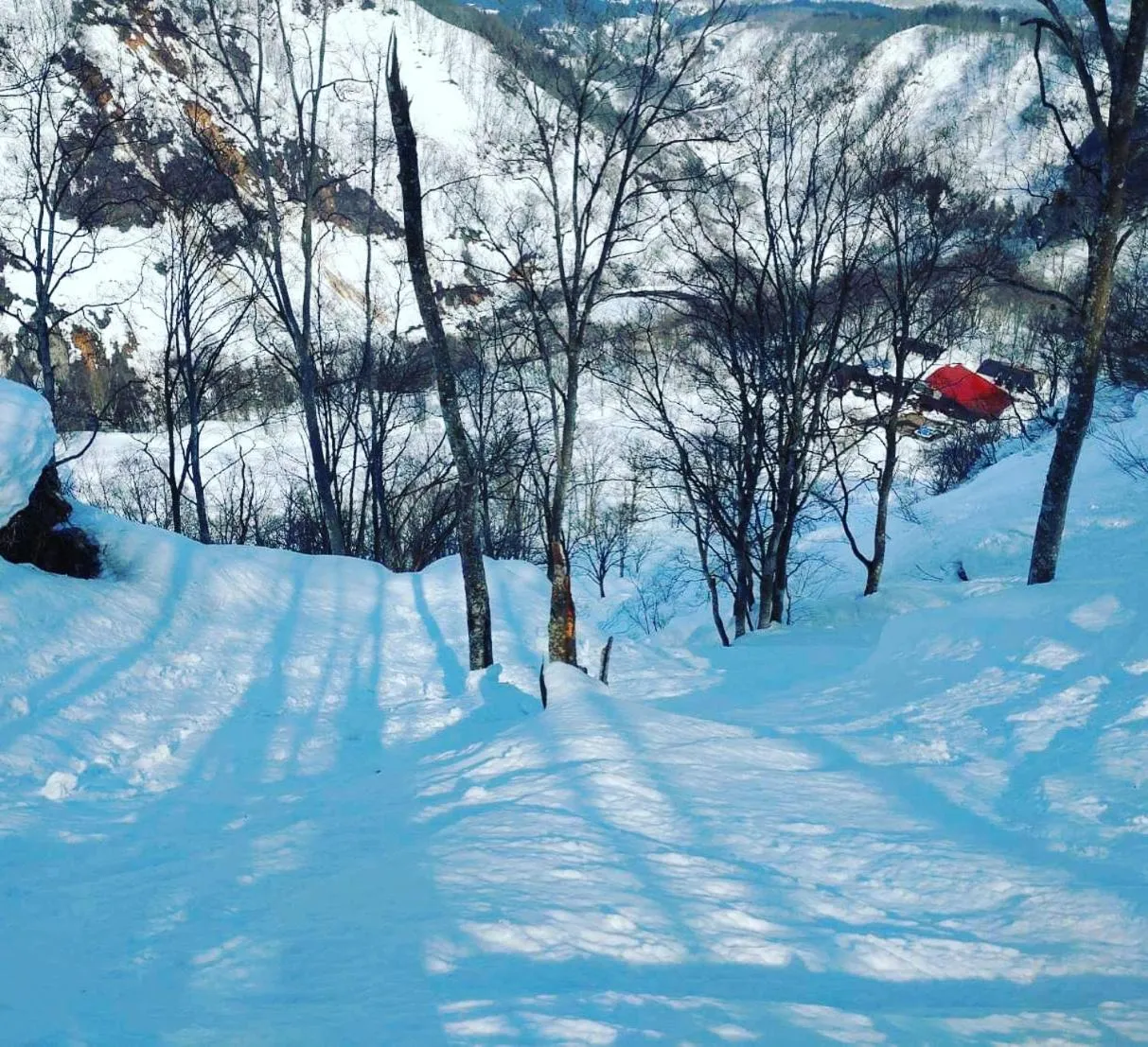 Natural landscape in Tsubame Highland Lodge燕ハイランドロッジ