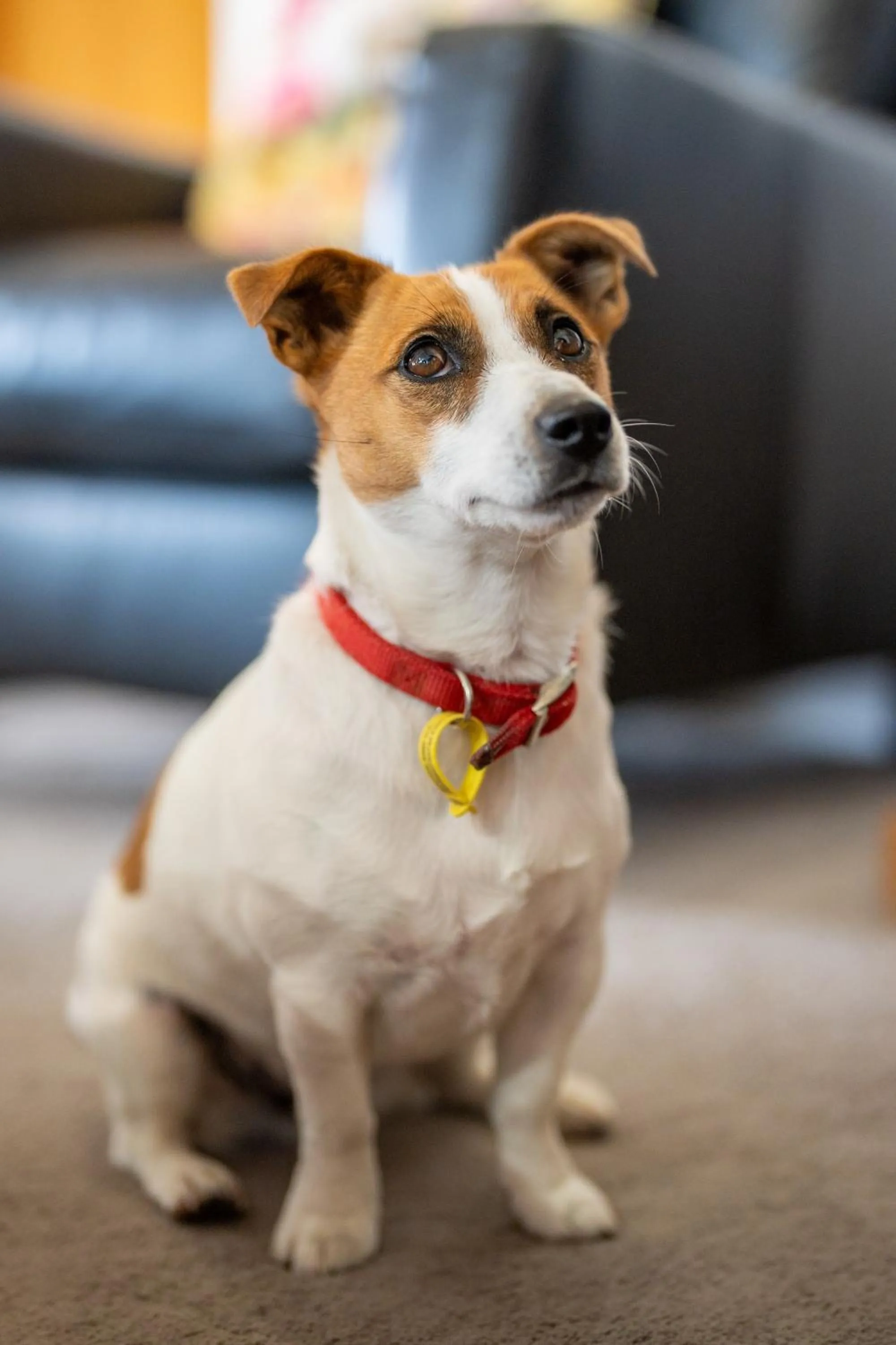 Property building in Alpine Rock B&B