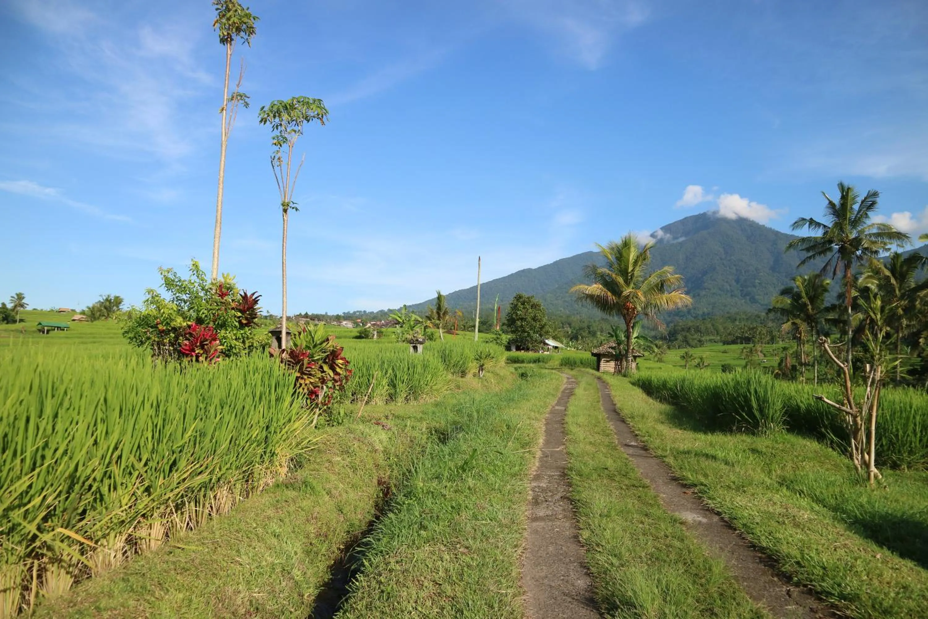 Nearby landmark in Sang Giri Mountain Tent Resort