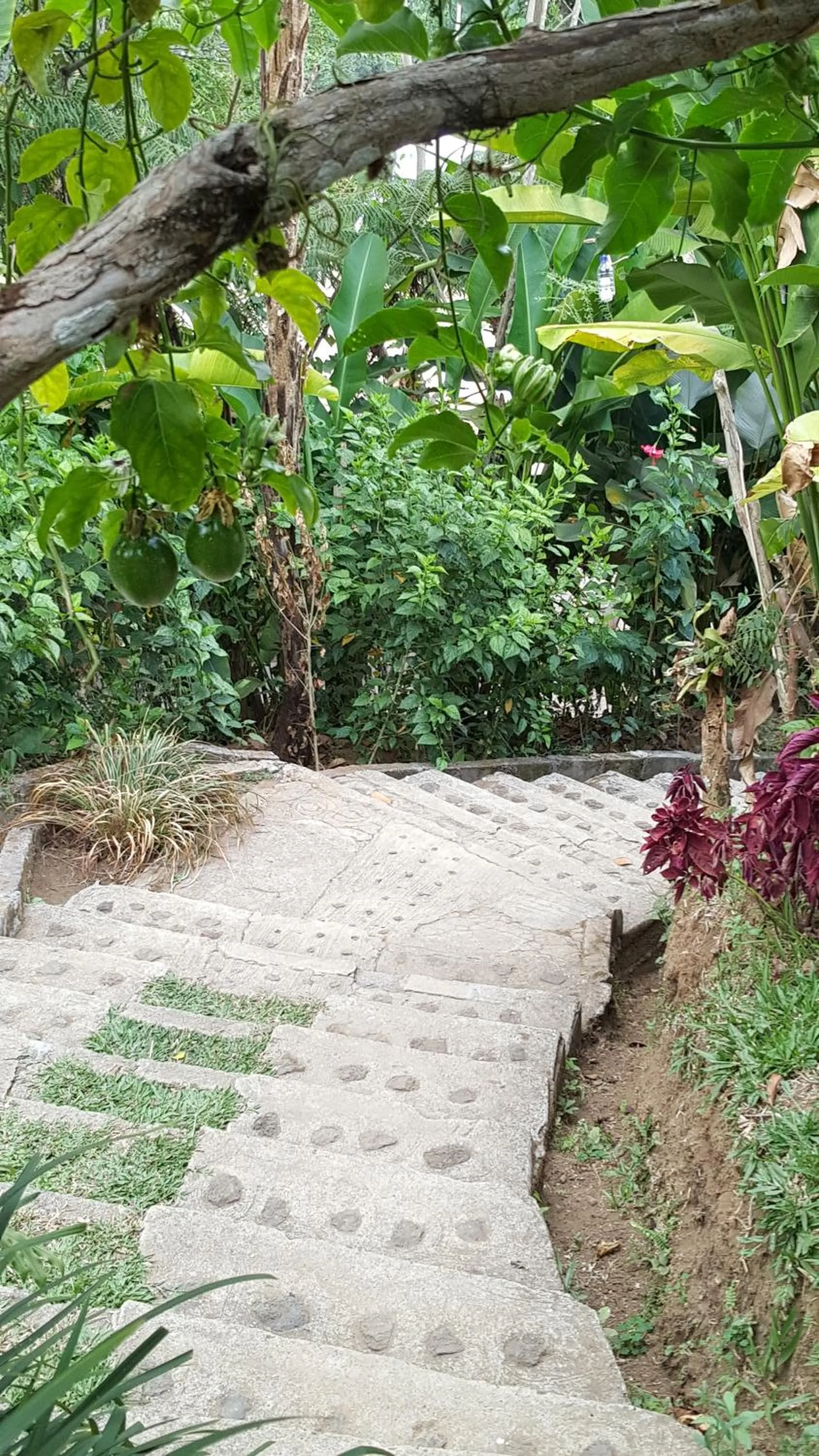 Day in Sang Giri Mountain Tent Resort