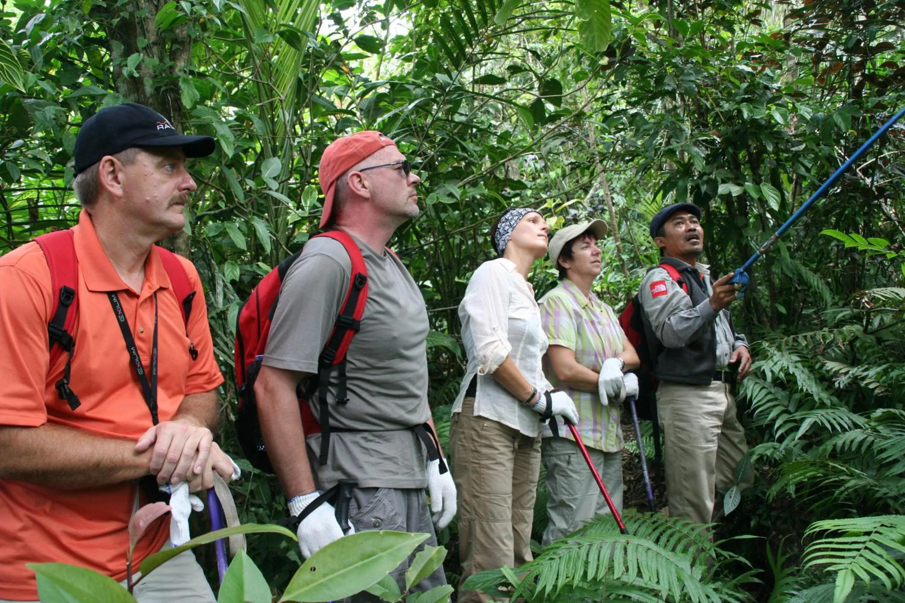 Natural landscape in Sang Giri Mountain Tent Resort