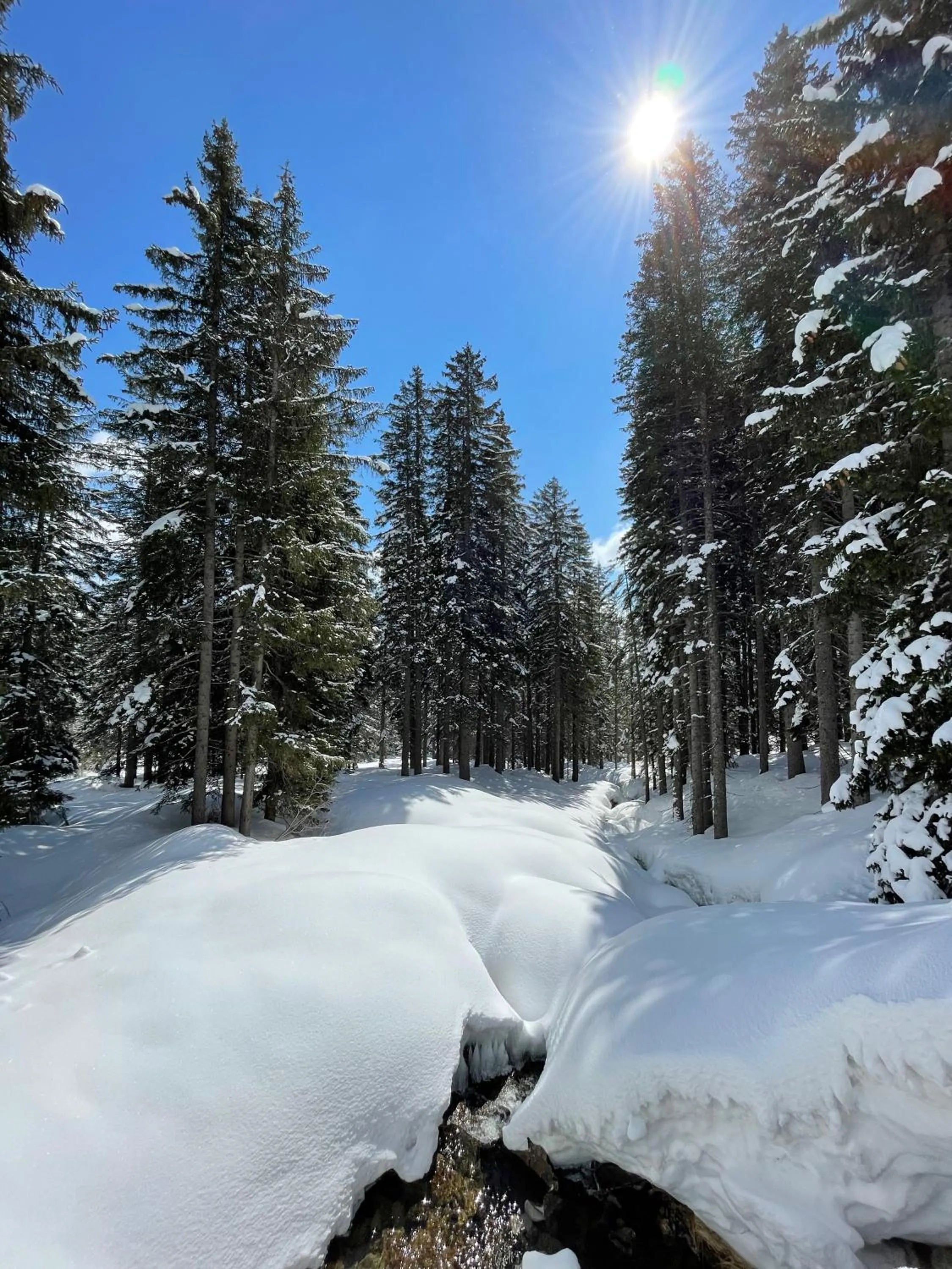 Natural landscape in Hotel Pinzolo-Dolomiti
