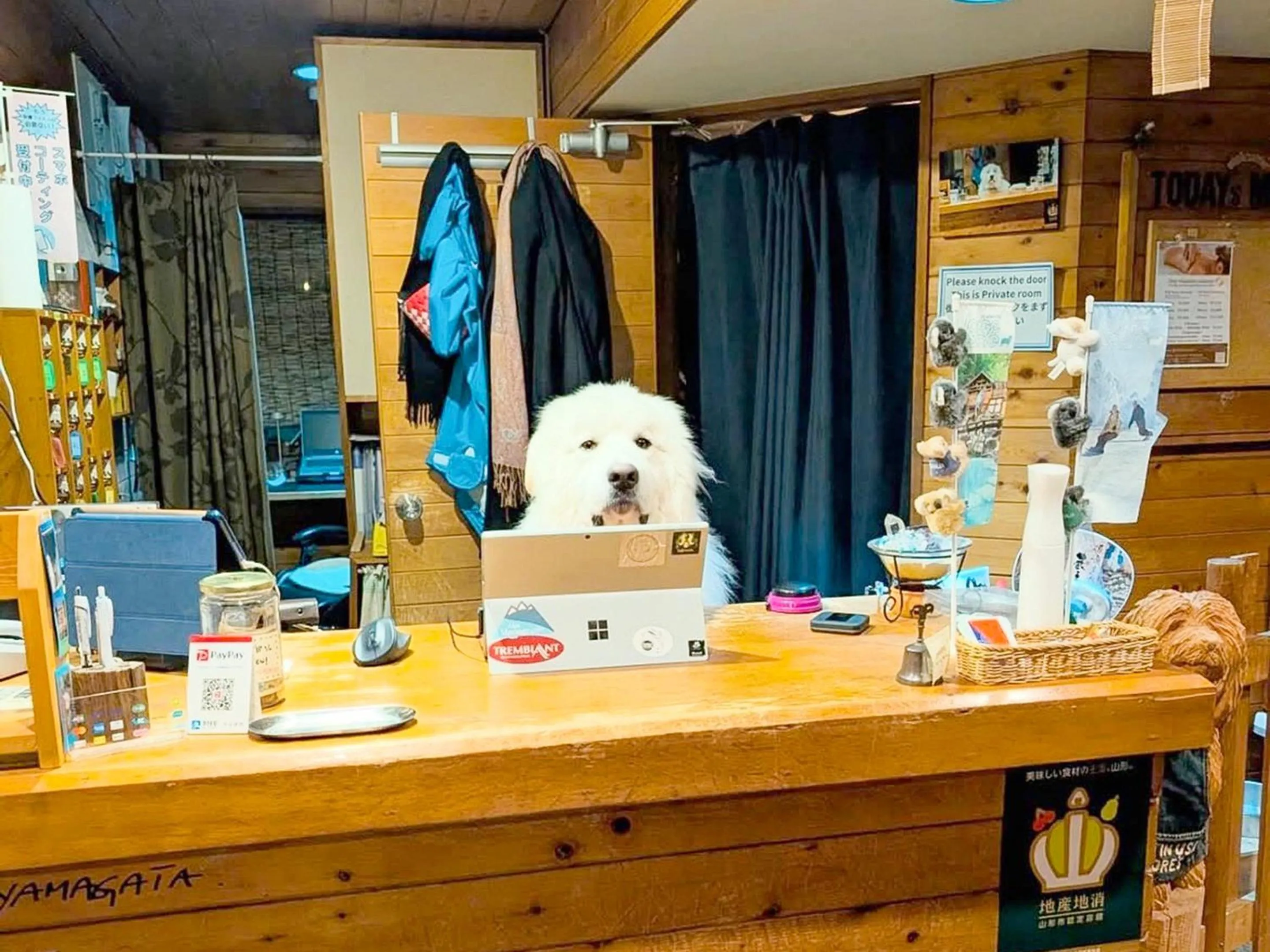 pet friendly in Lodge Scole