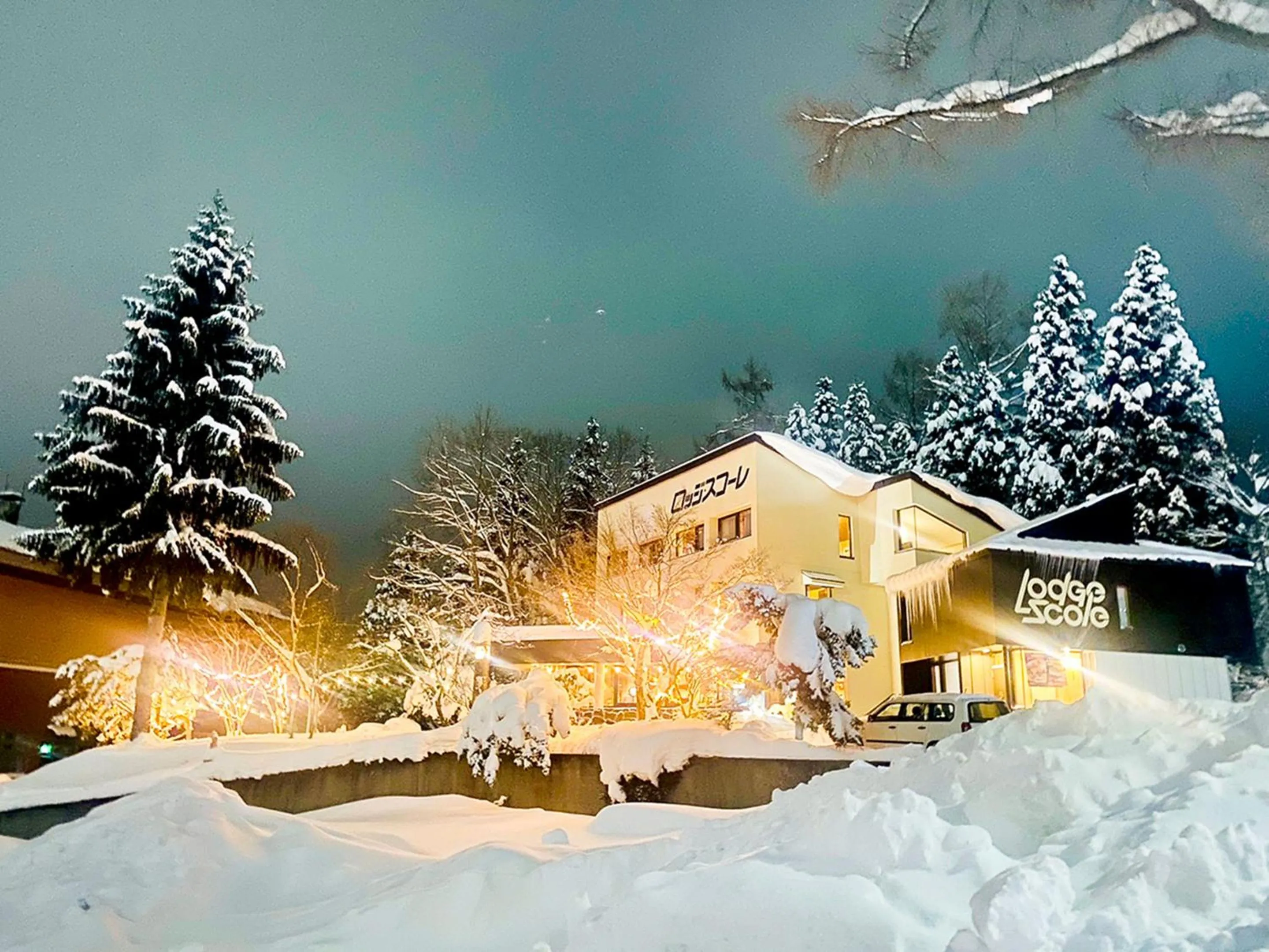 Property building in Lodge Scole