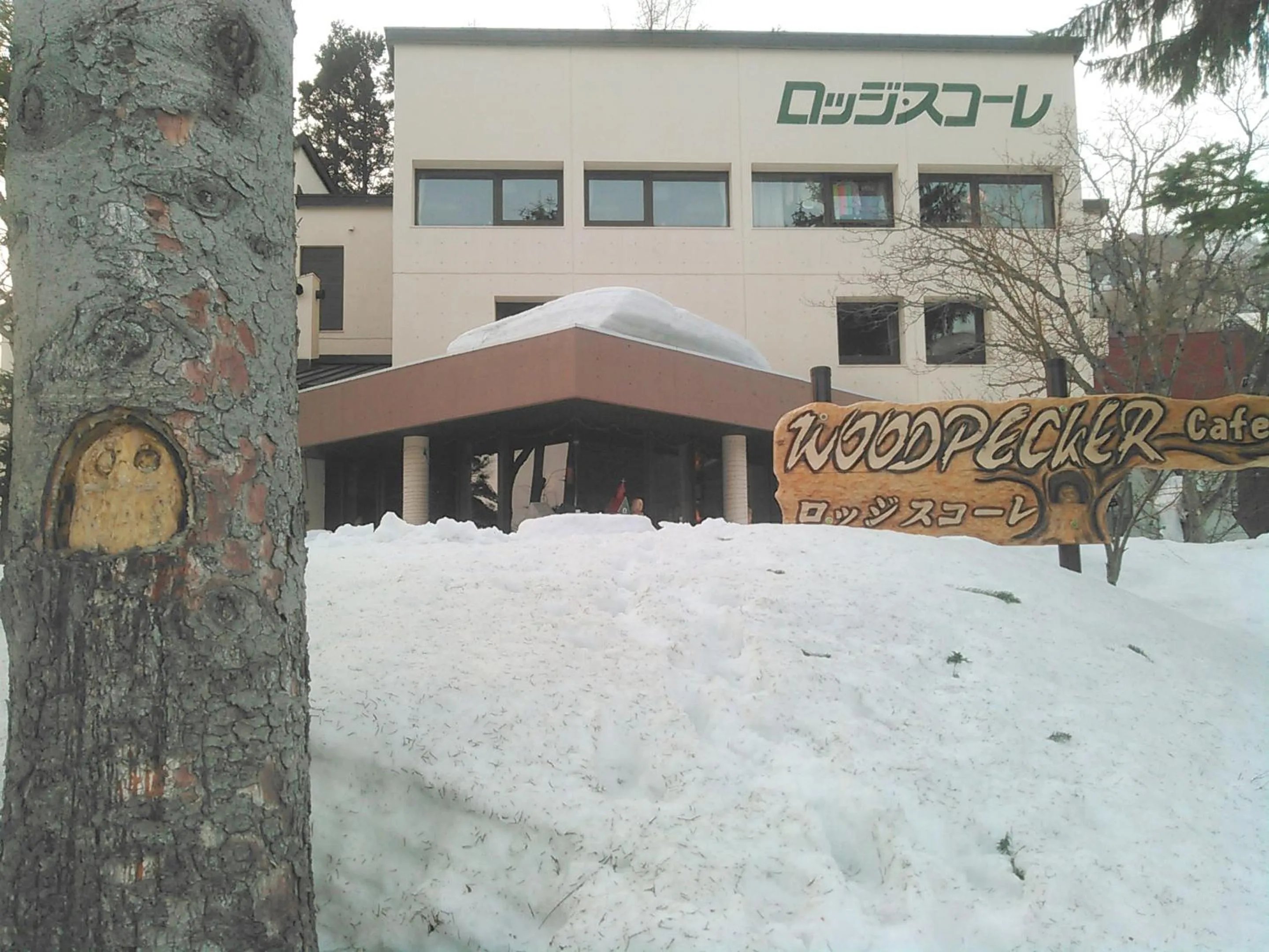 Property building in Lodge Scole