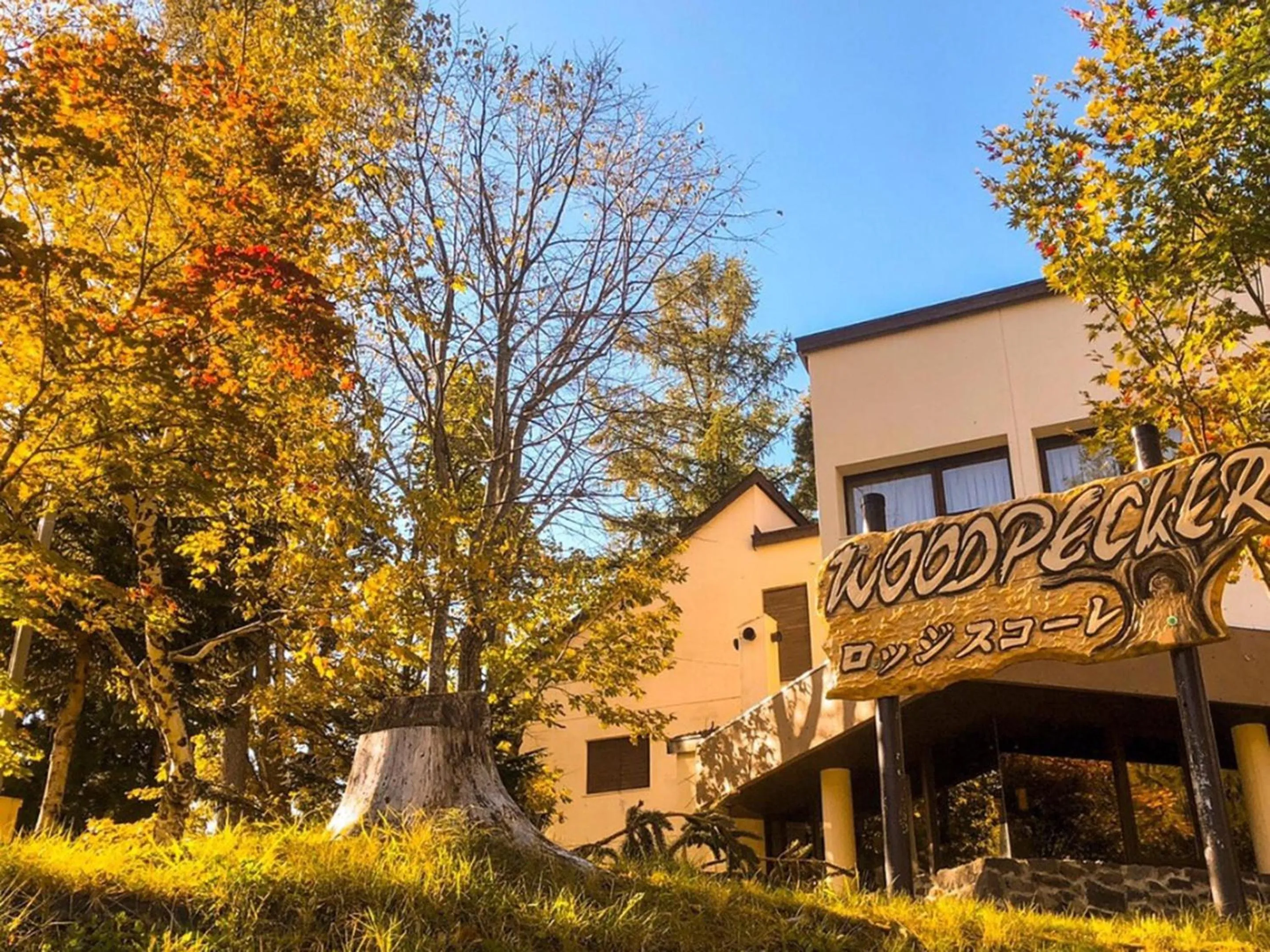 Property building in Lodge Scole