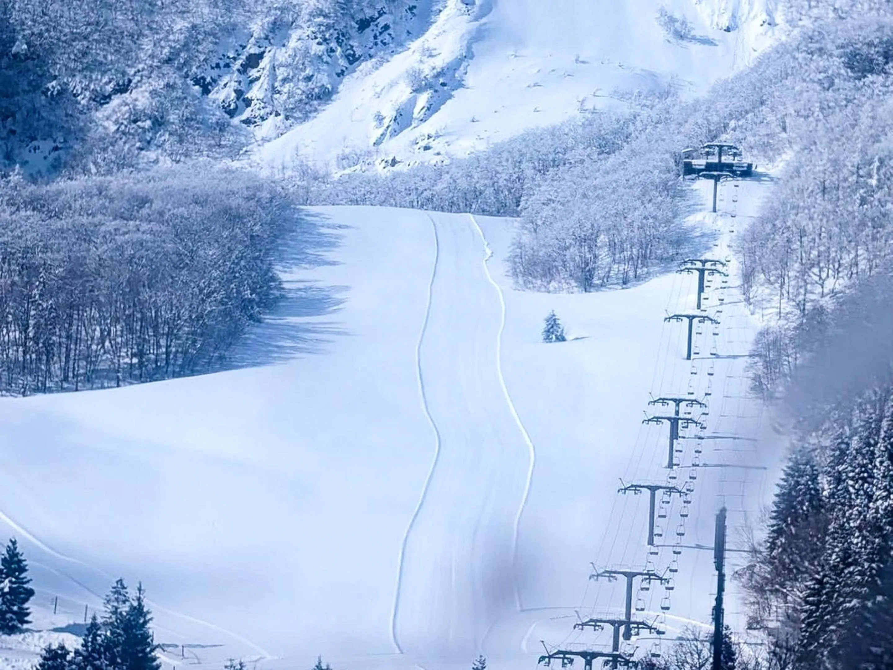 Nearby landmark in Lodge Scole