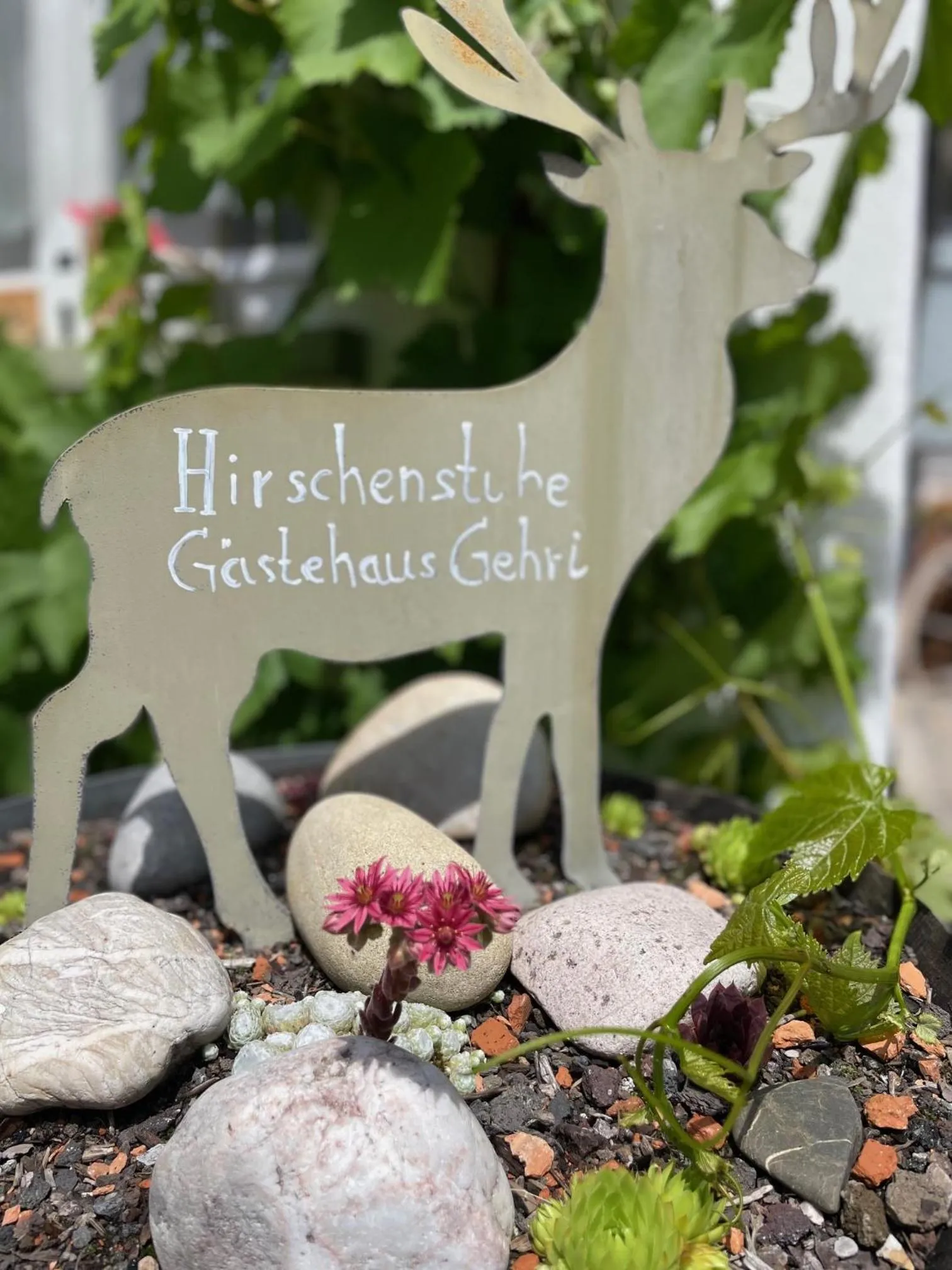 Decorative detail in Gasthaus Hirschenstube & Gästehaus Gehri