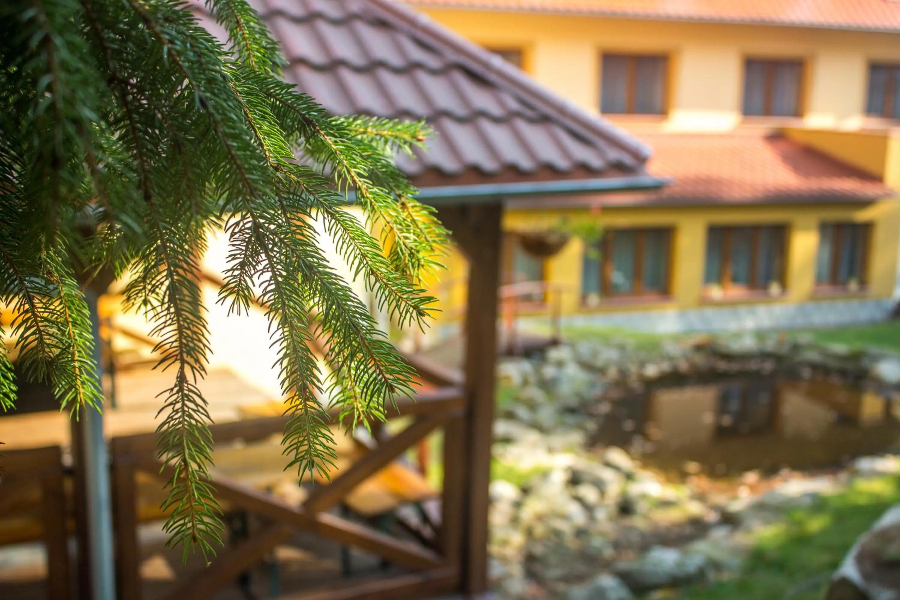 Garden in Hotel Dobry Klimat