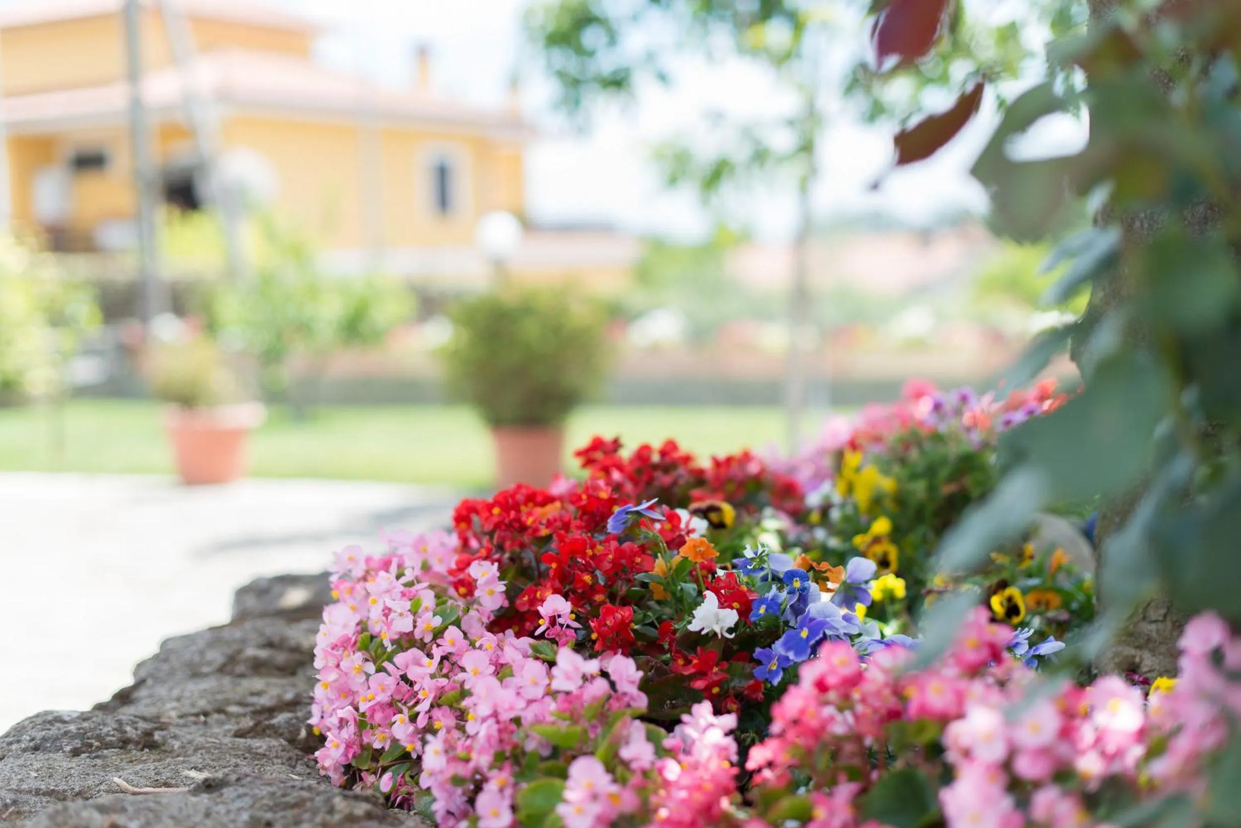 Property building in Bed and Breakfast Nonna Loreta