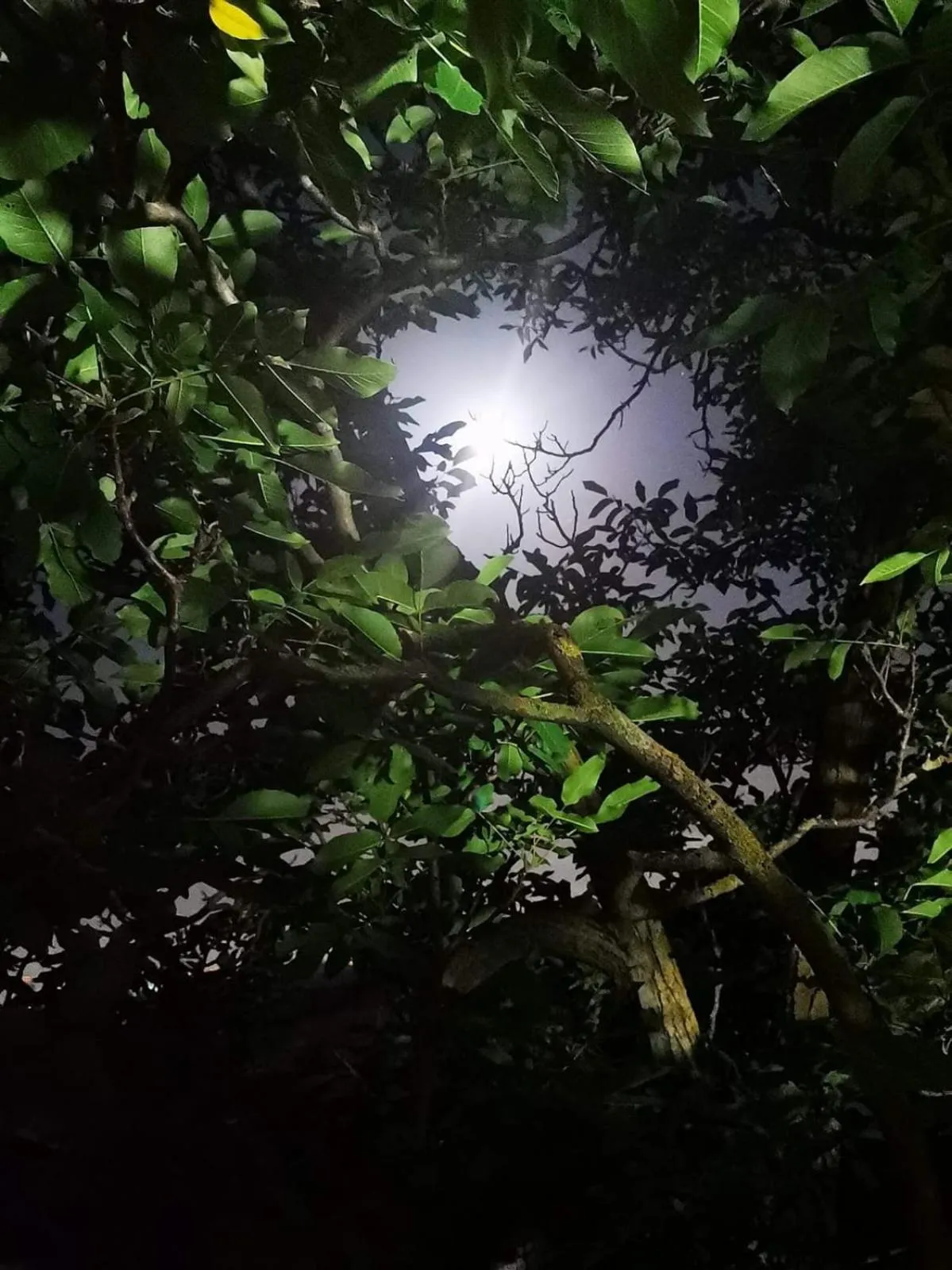 Bed and Breakfast Nonna Loreta