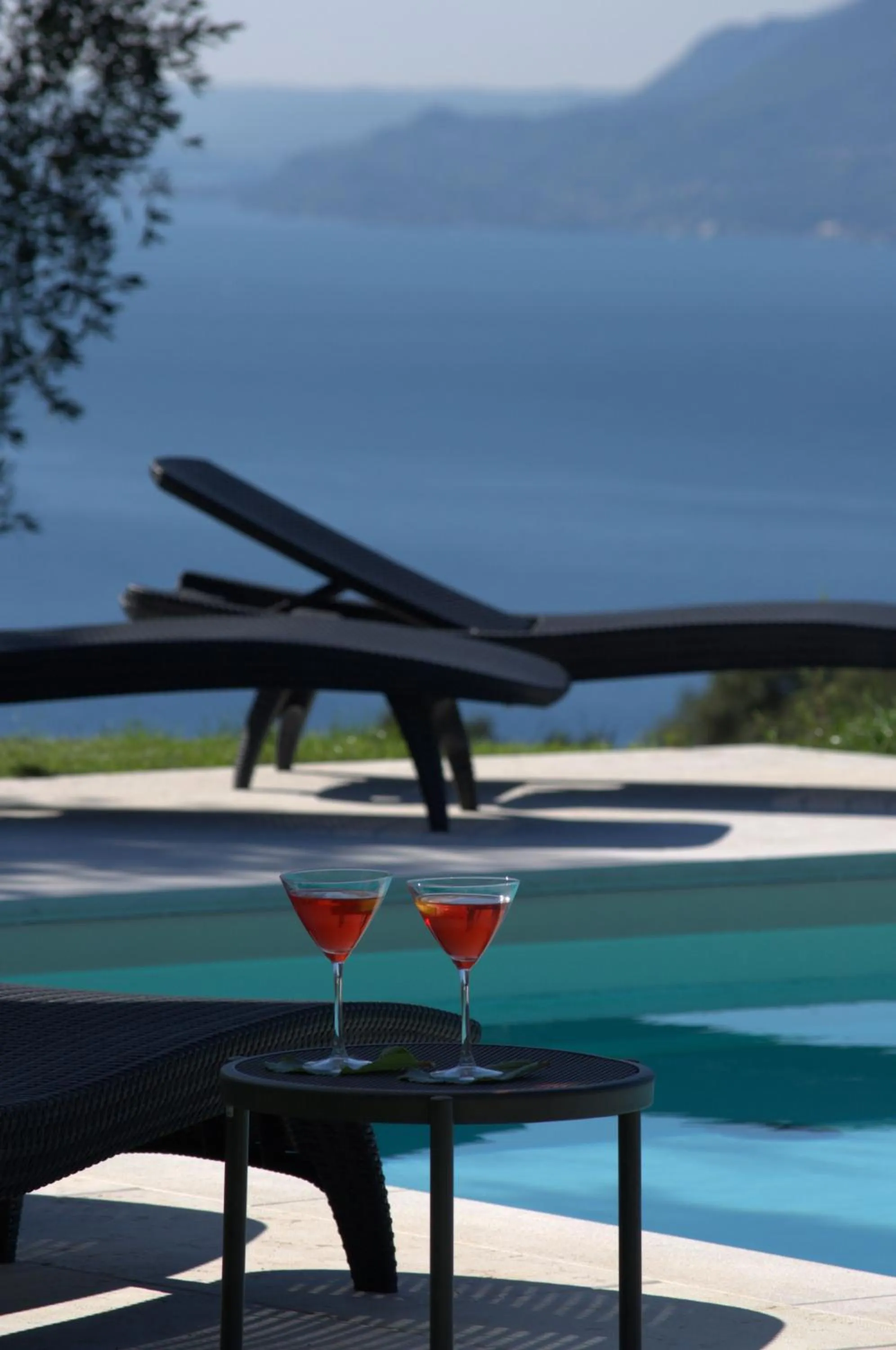 Garden in Guesthouse Grand View