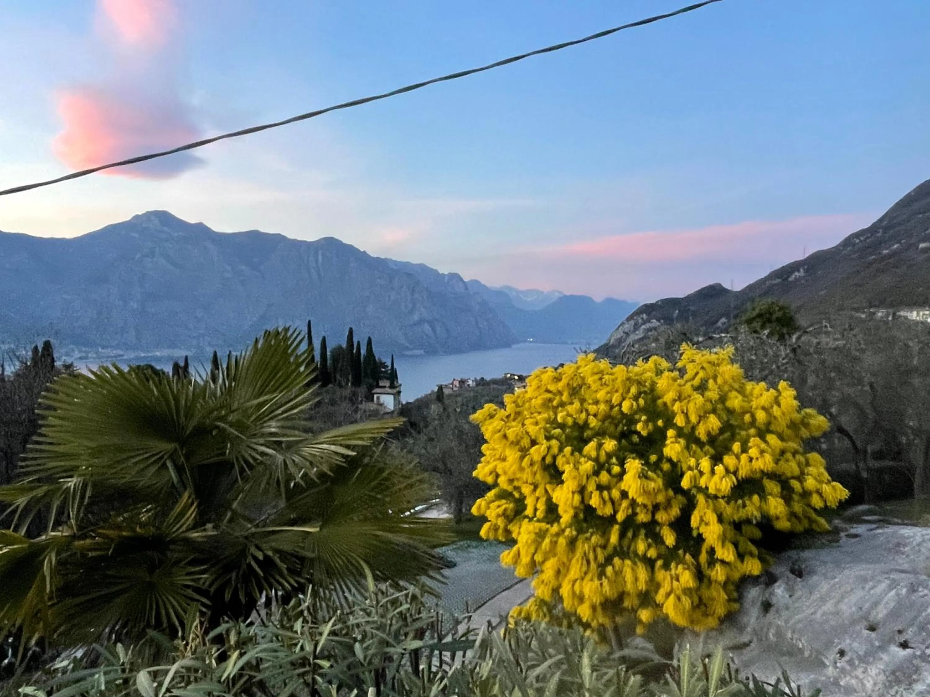 Guesthouse Grand View