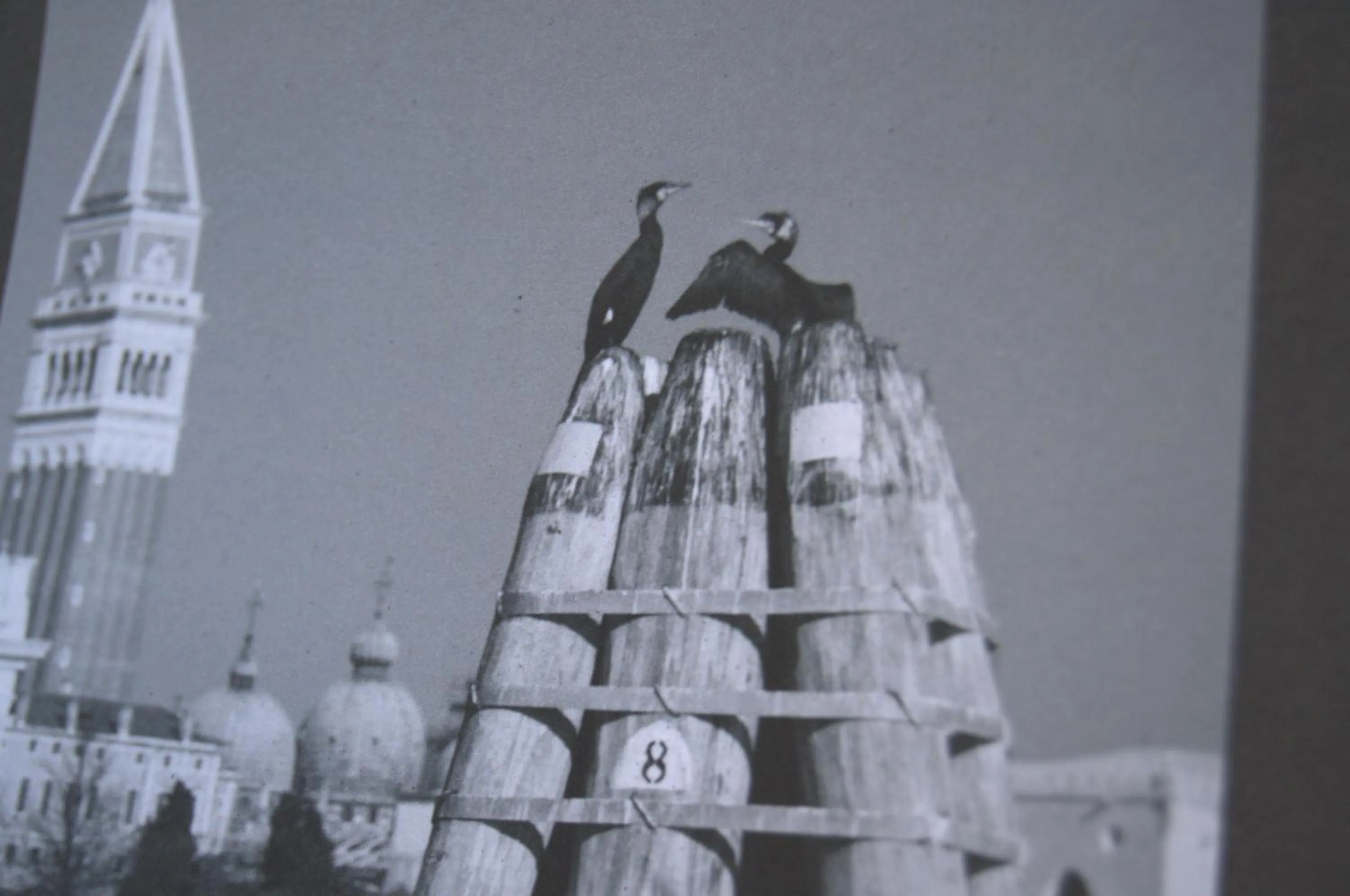 Other in Guesthouse Grand View