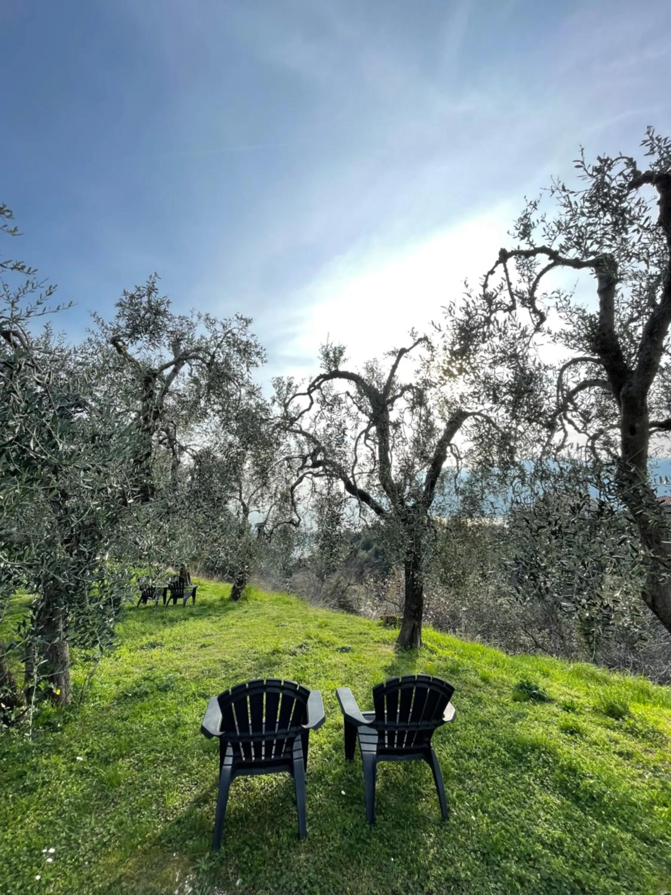 Guesthouse Grand View