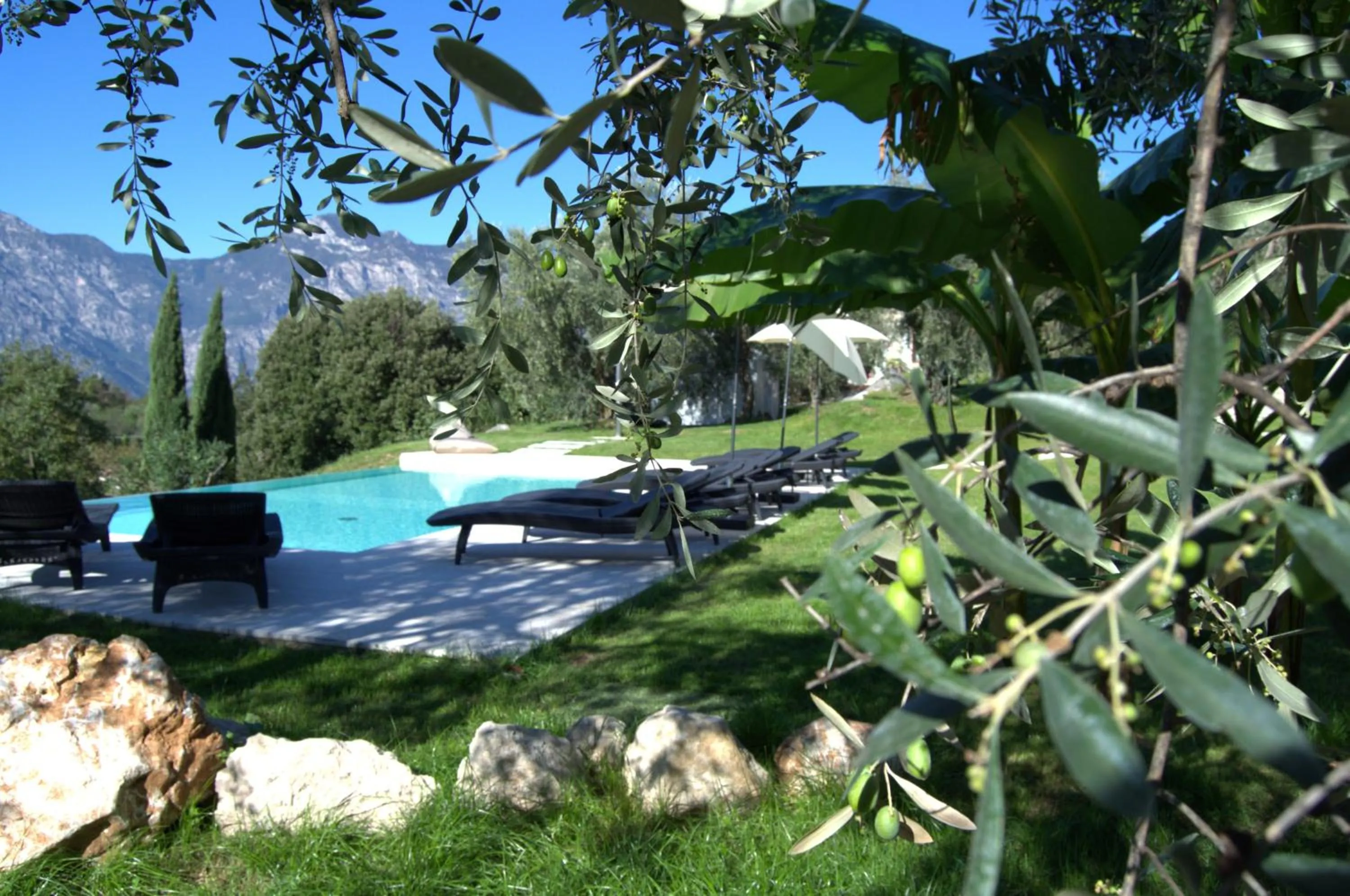 Garden in Guesthouse Grand View