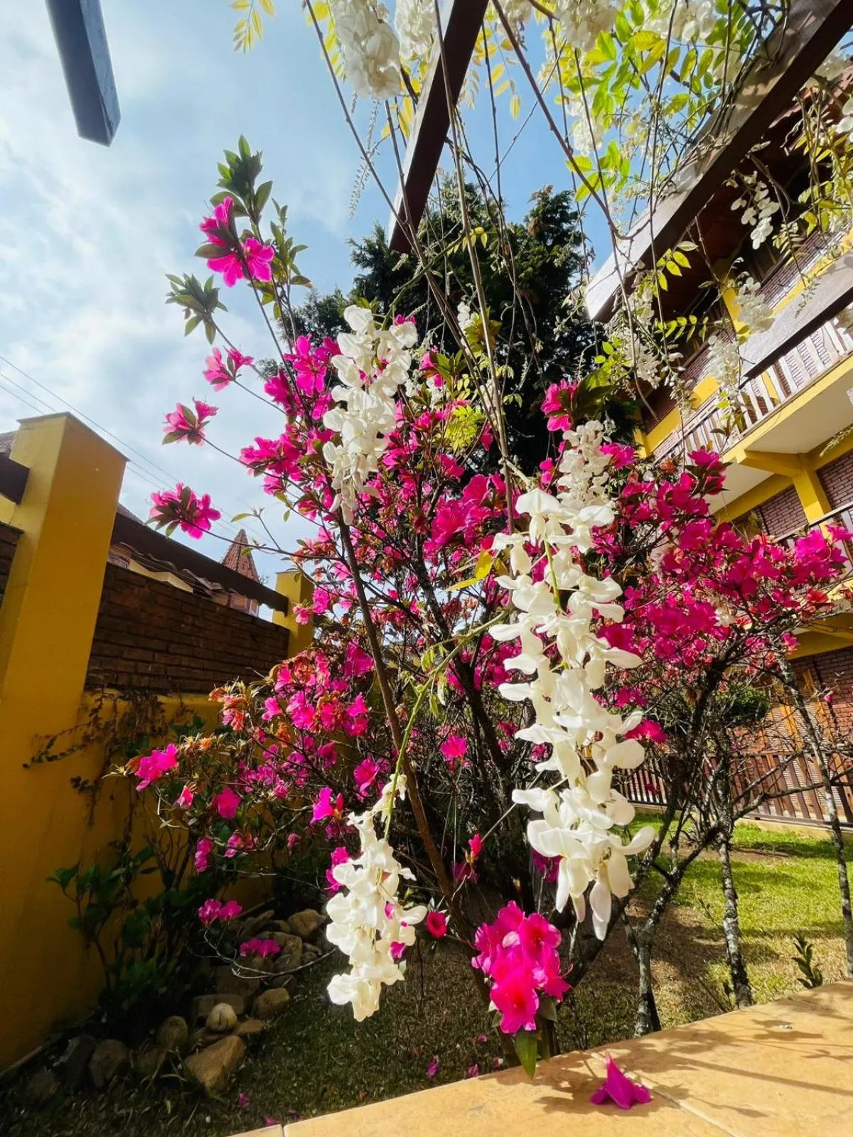 Spring in Hotel Garnier
