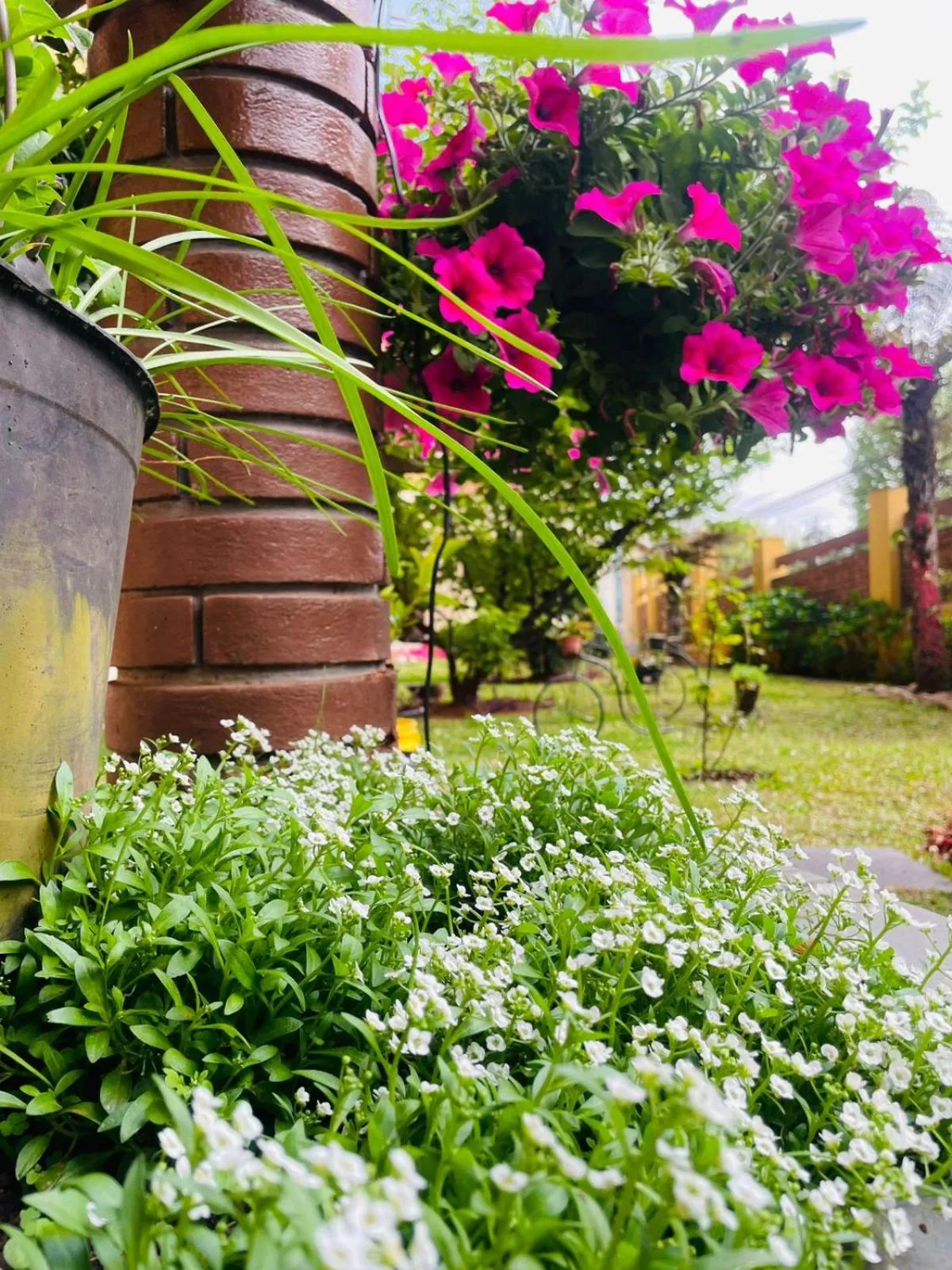 Spring in Hotel Garnier