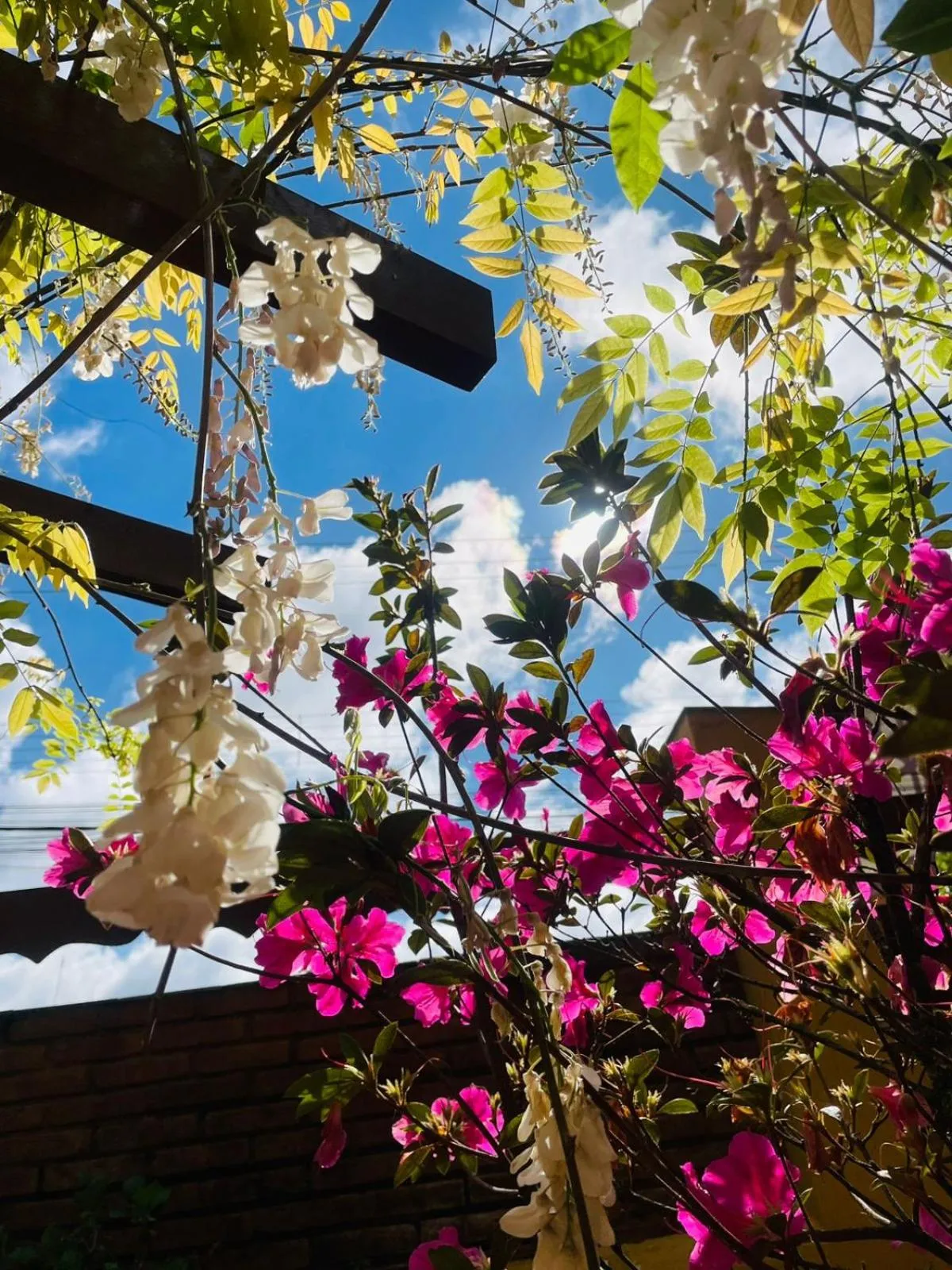 Spring in Hotel Garnier