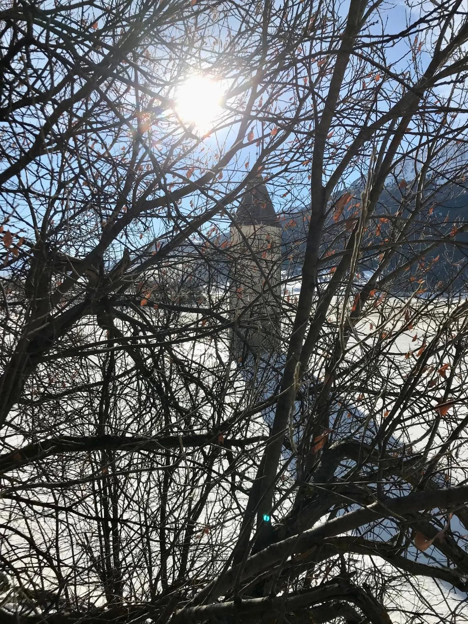 Natural landscape in Residence Dilitz