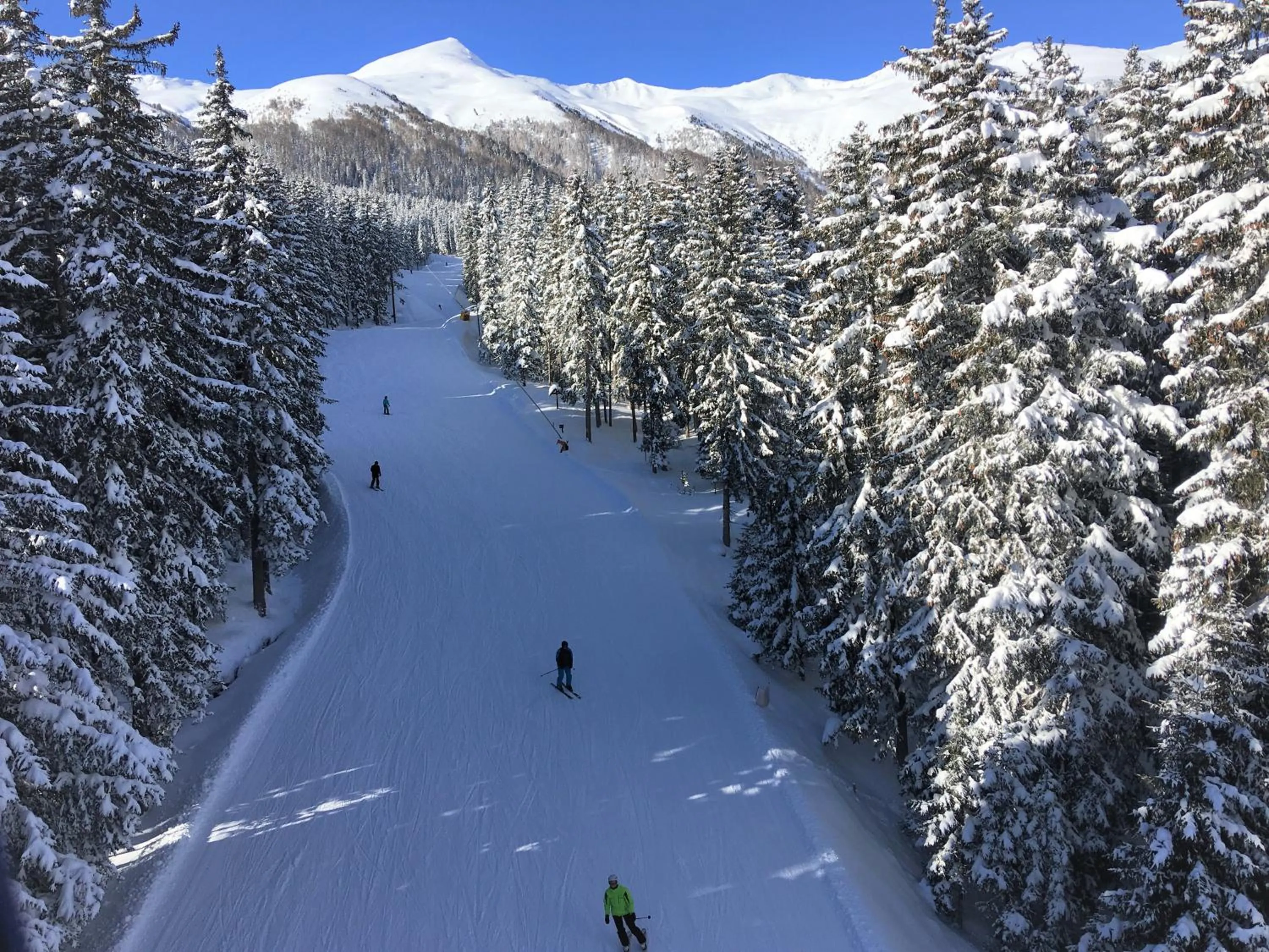 Winter in Residence Dilitz