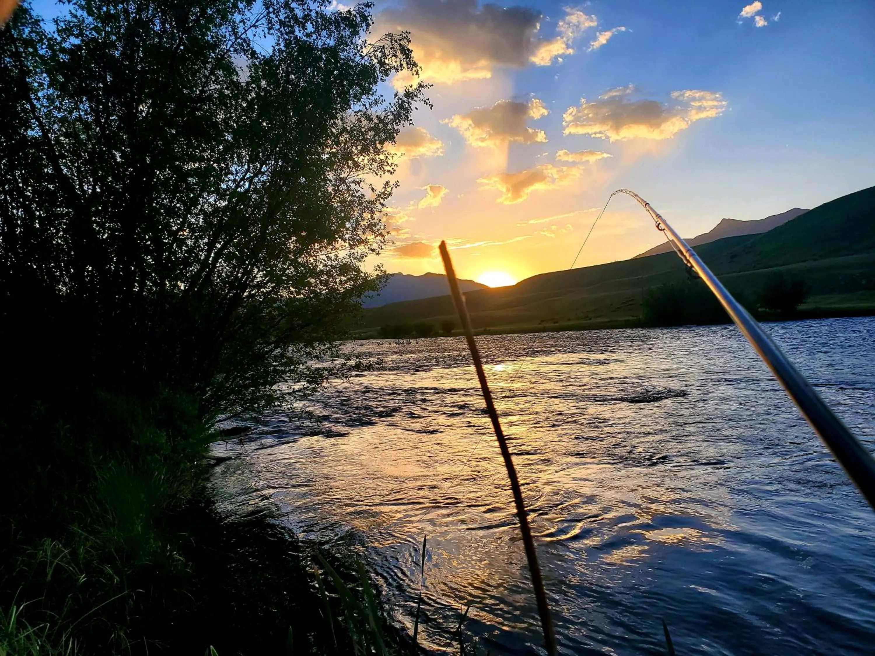 Fishing in Dream Drift Motel