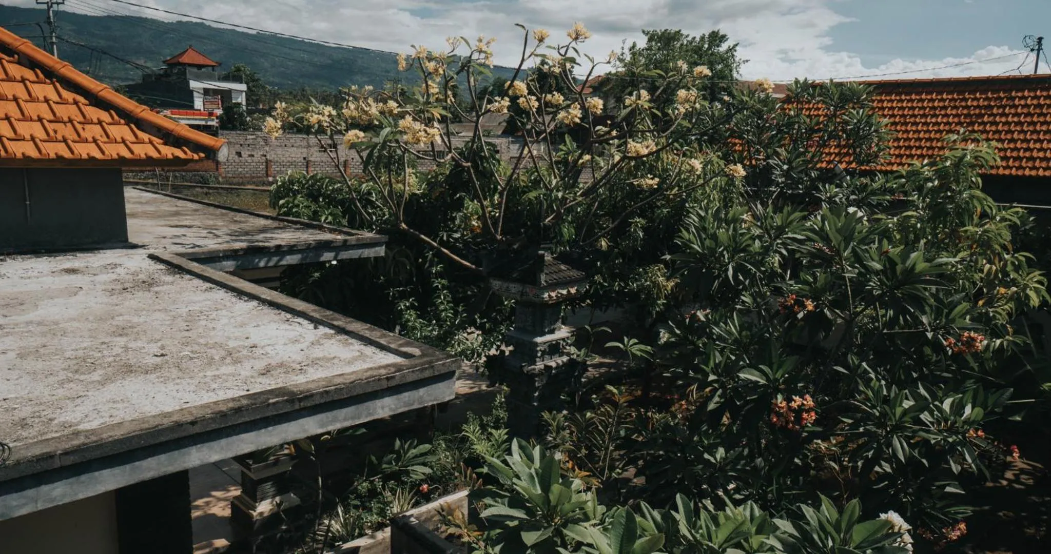 Garden view in Kelana Guest House