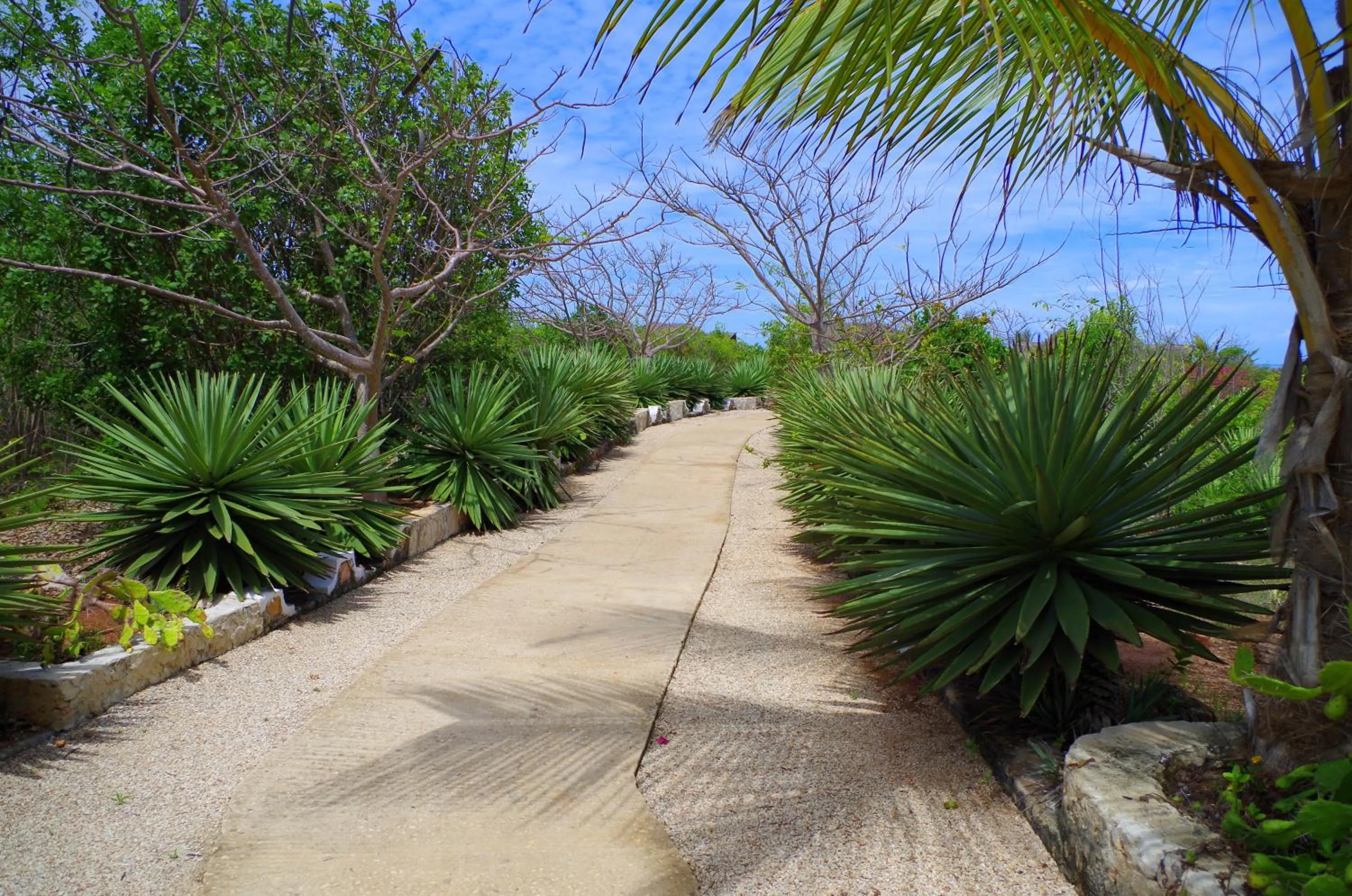 Garden in Kasha Boutique Hotel