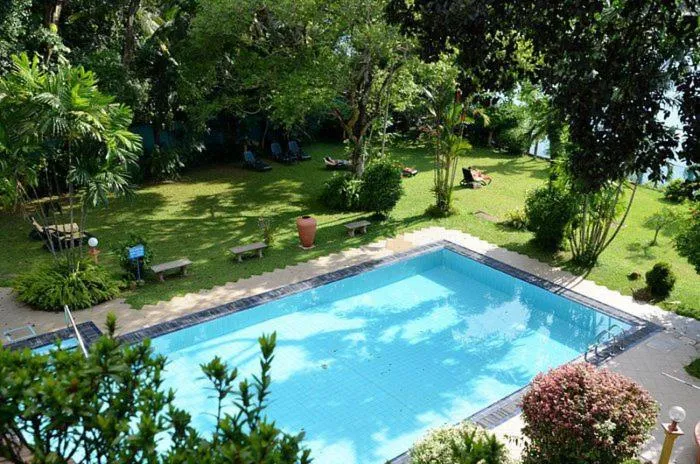 Ayurveda Spring of Life