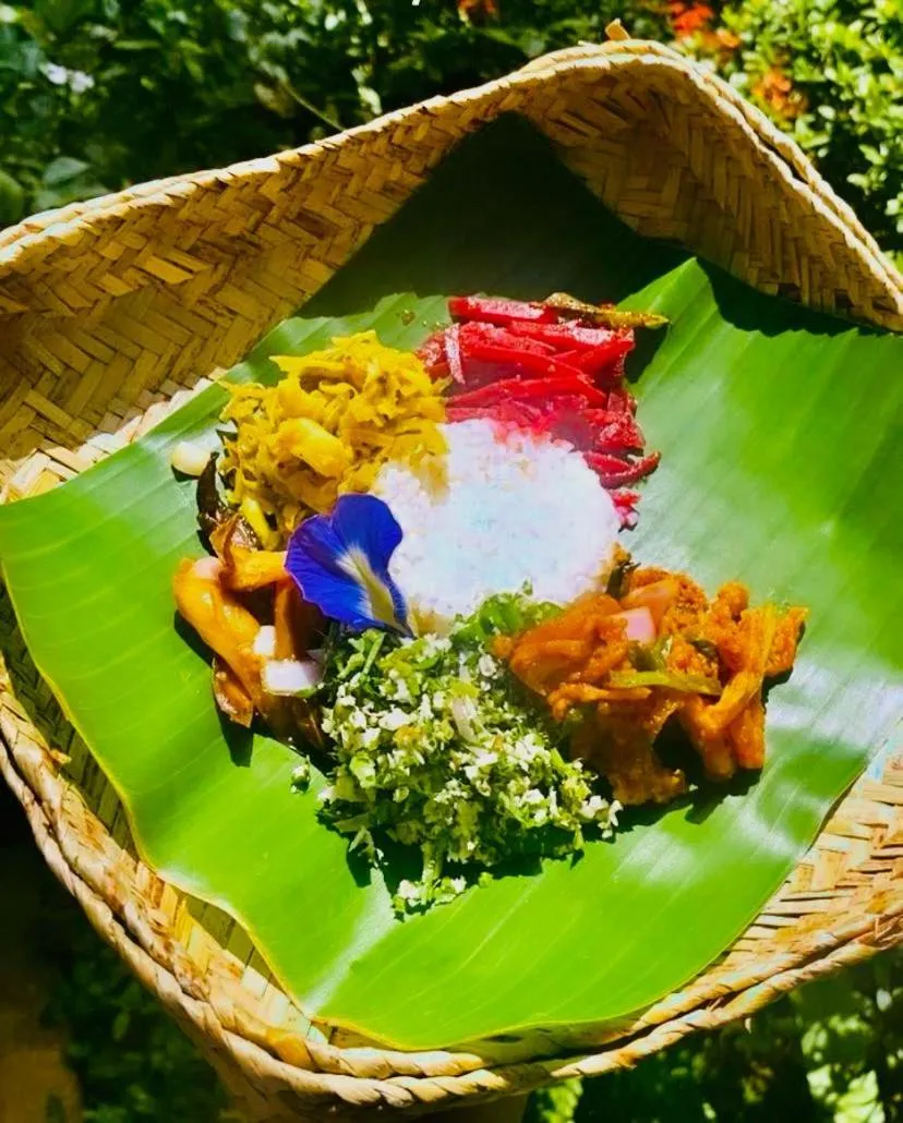 Ayurveda Spring of Life