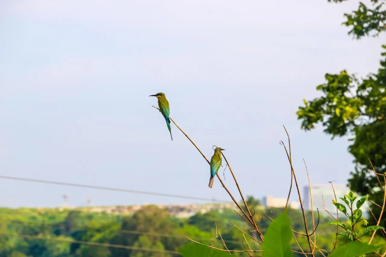 Ayurveda Spring of Life