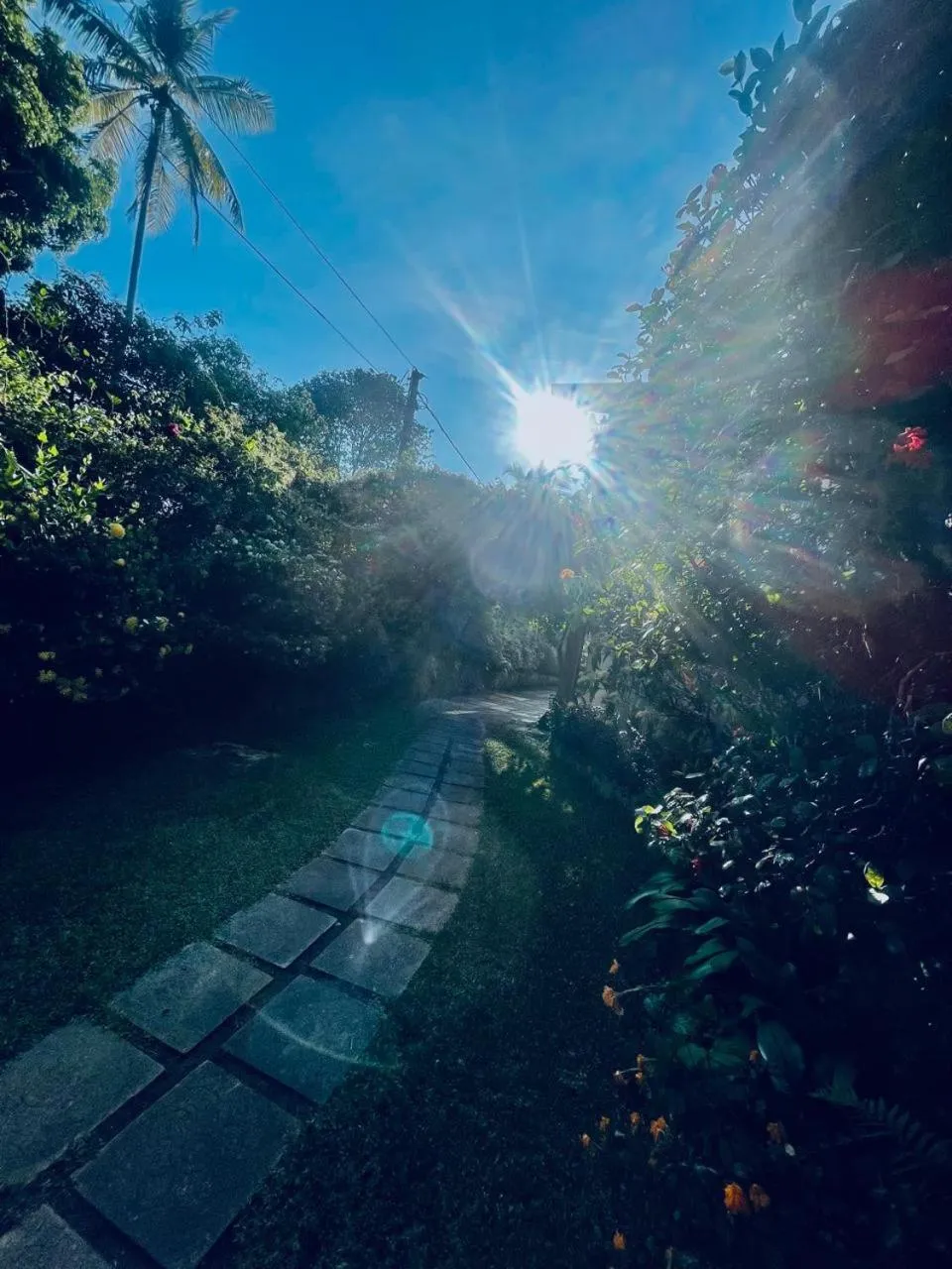 Ayurveda Spring of Life