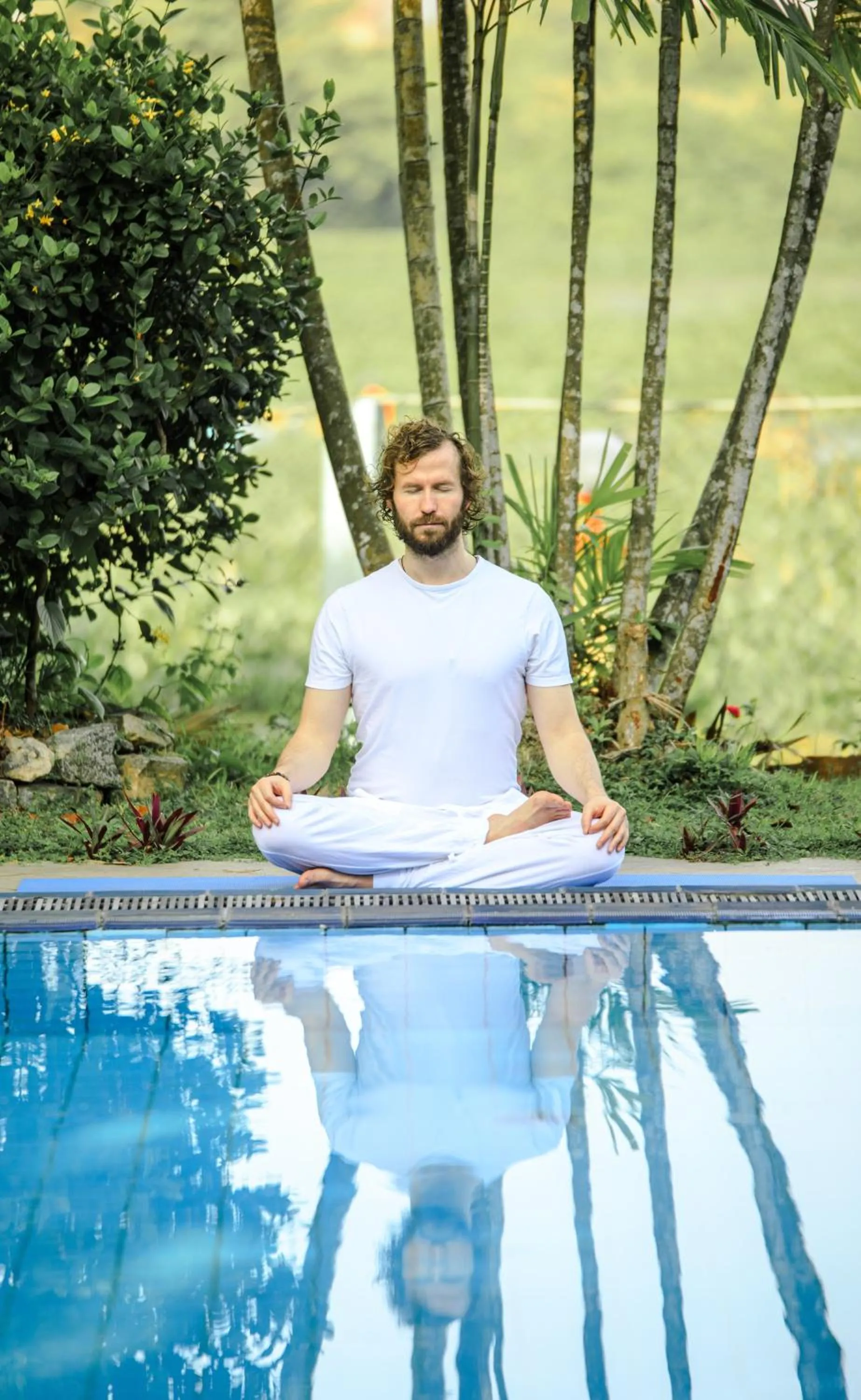 Ayurveda Spring of Life