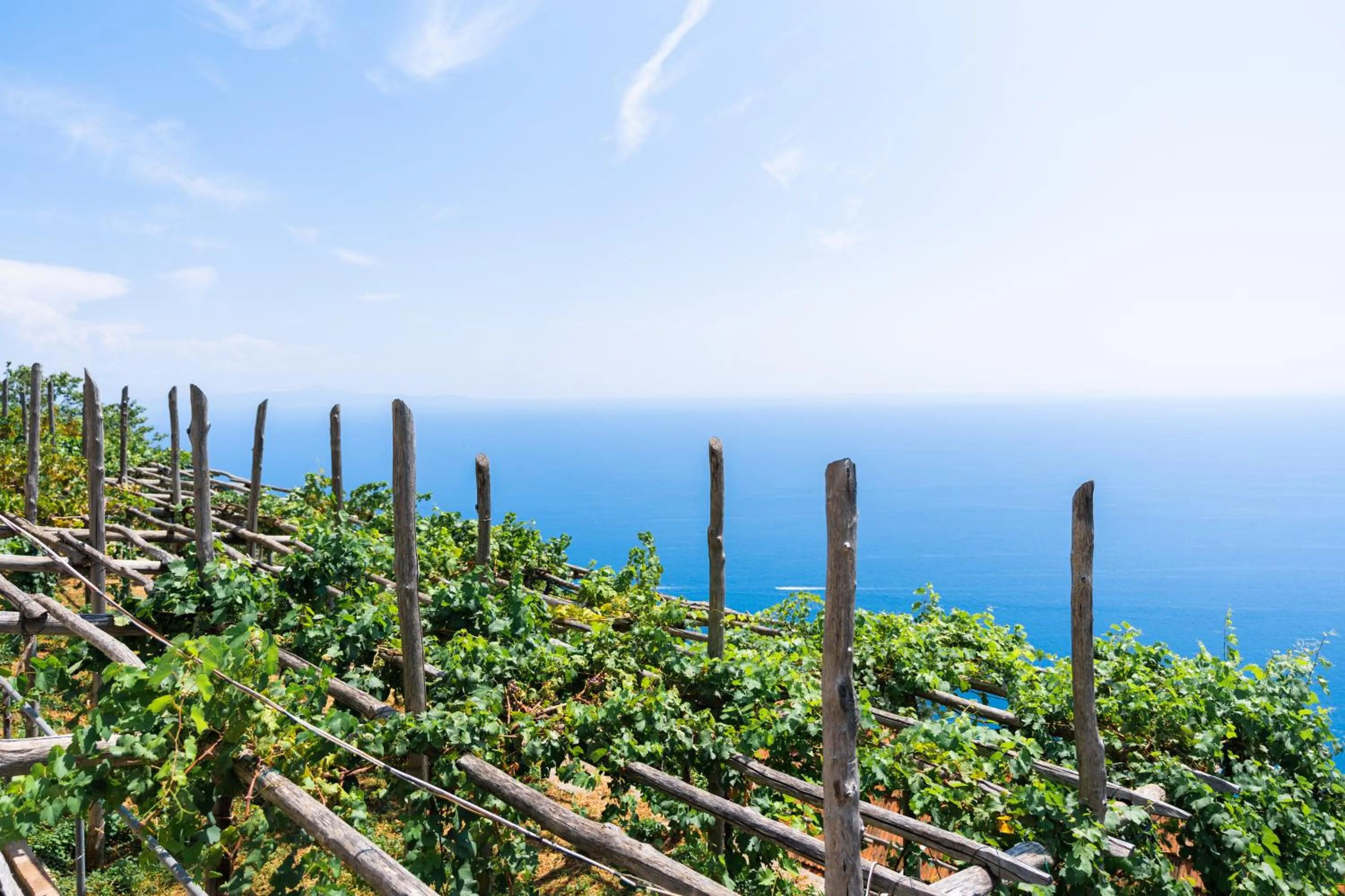 Natural landscape in La Vigna di Bacco