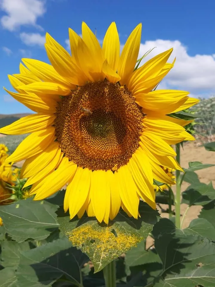 Summer in L'Isola Che Non C'era