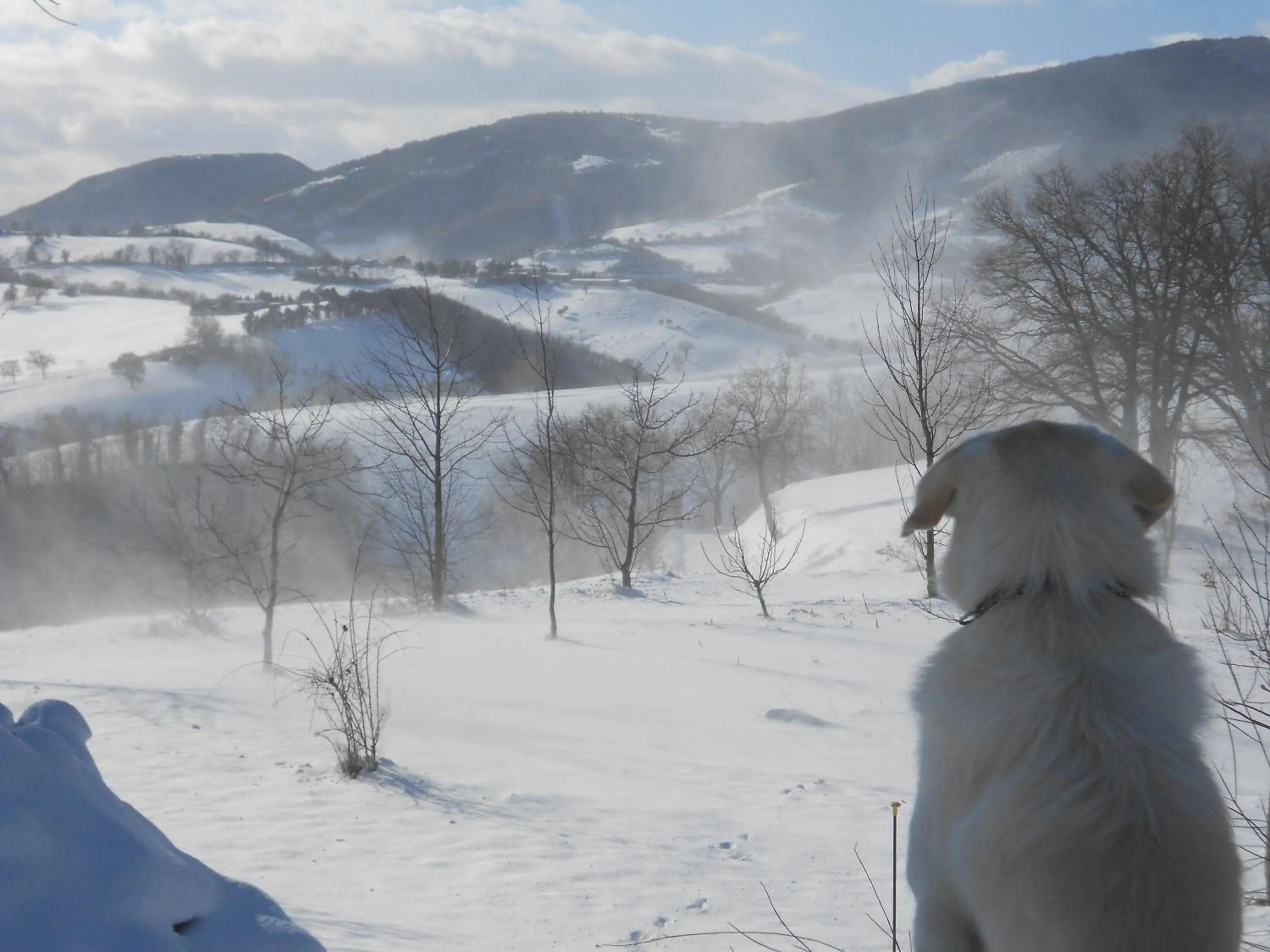 Winter in L'Isola Che Non C'era