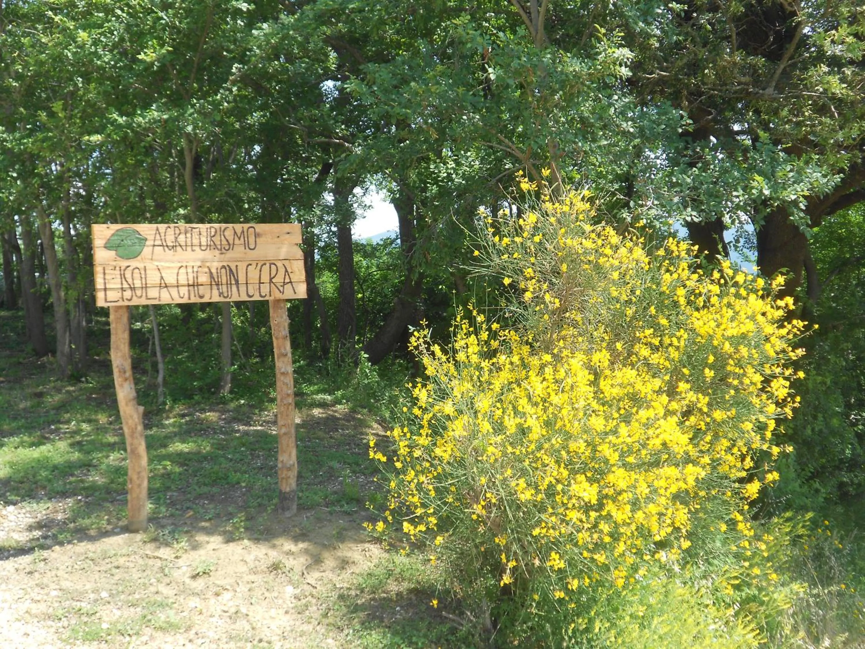 Decorative detail in L'Isola Che Non C'era