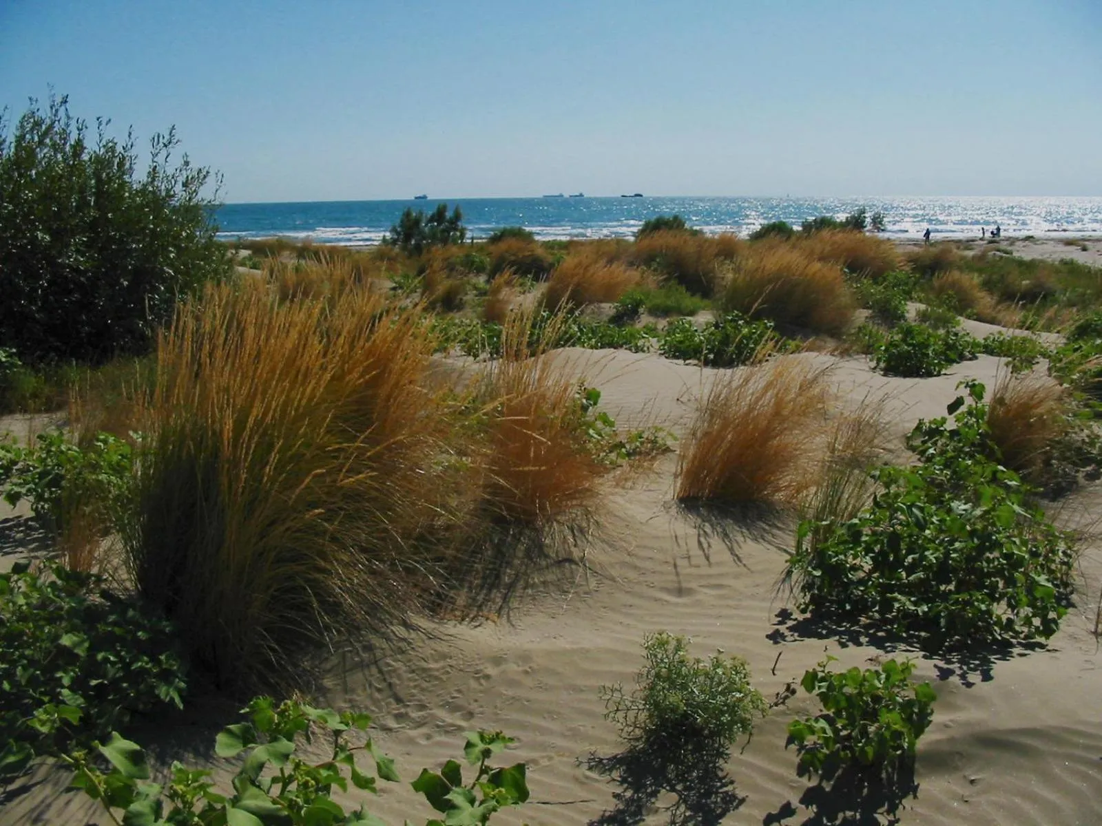 Day in Hotel Villa Orio & Beatrice