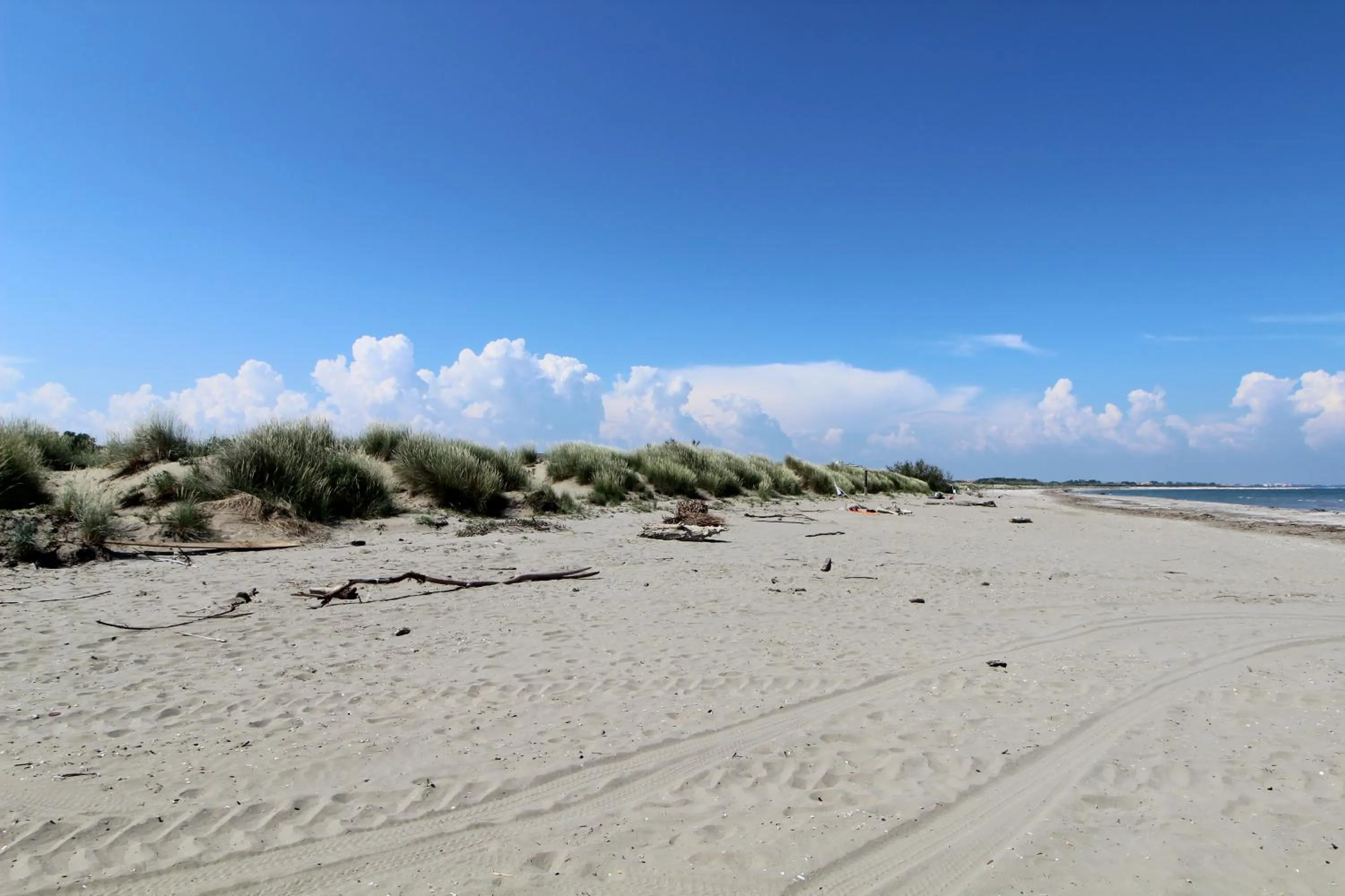 Beach in Hotel Villa Orio & Beatrice
