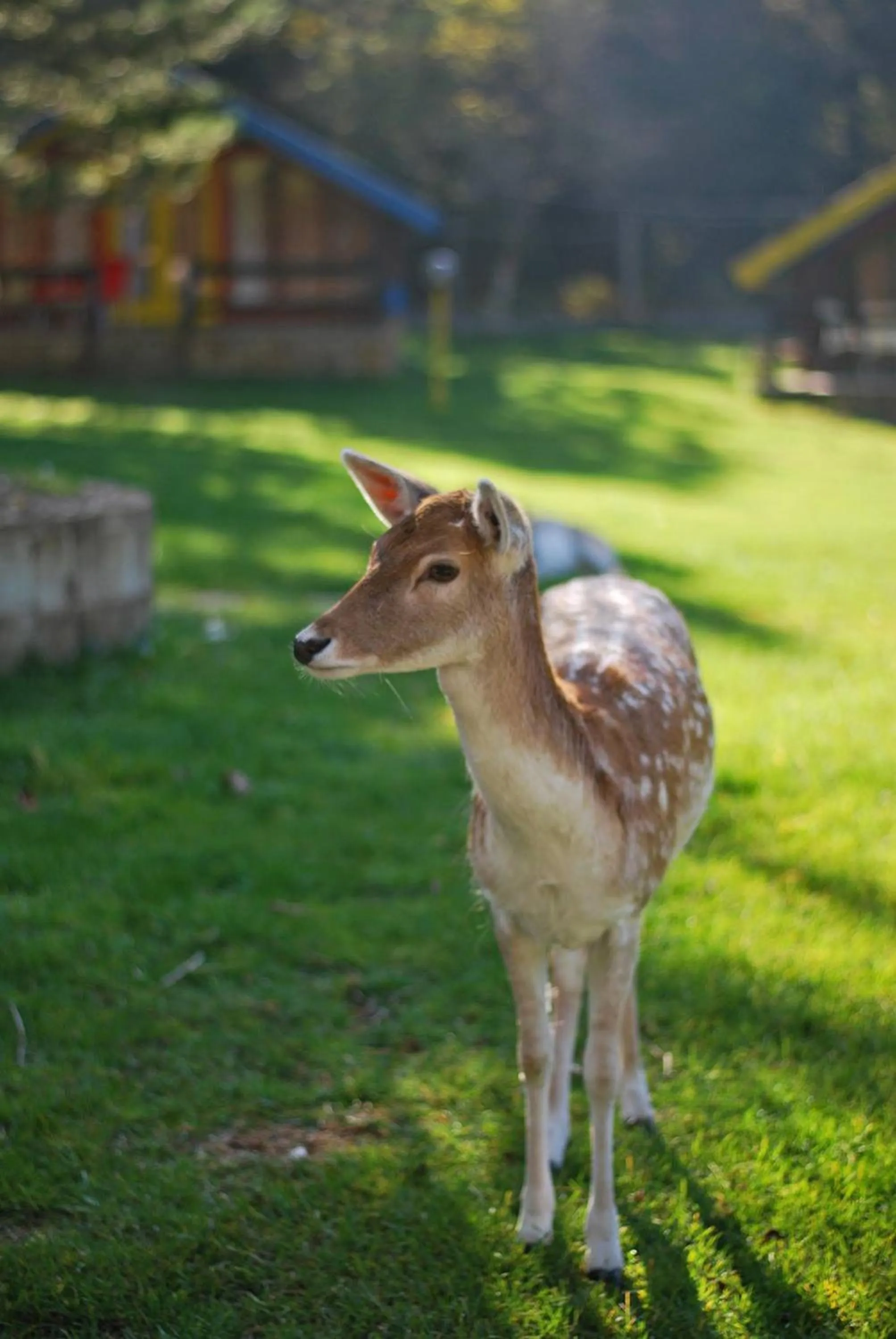 View (from property/room) in Te'Dreri - Llogora Tourist Village
